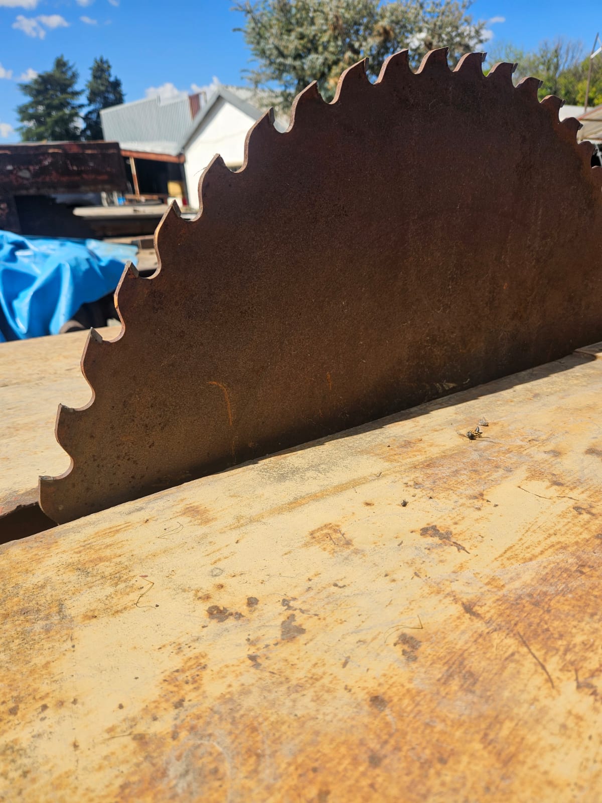 Nico Smith Afslaers Bloemfontein | NSA Auctioneers Bloemfontein