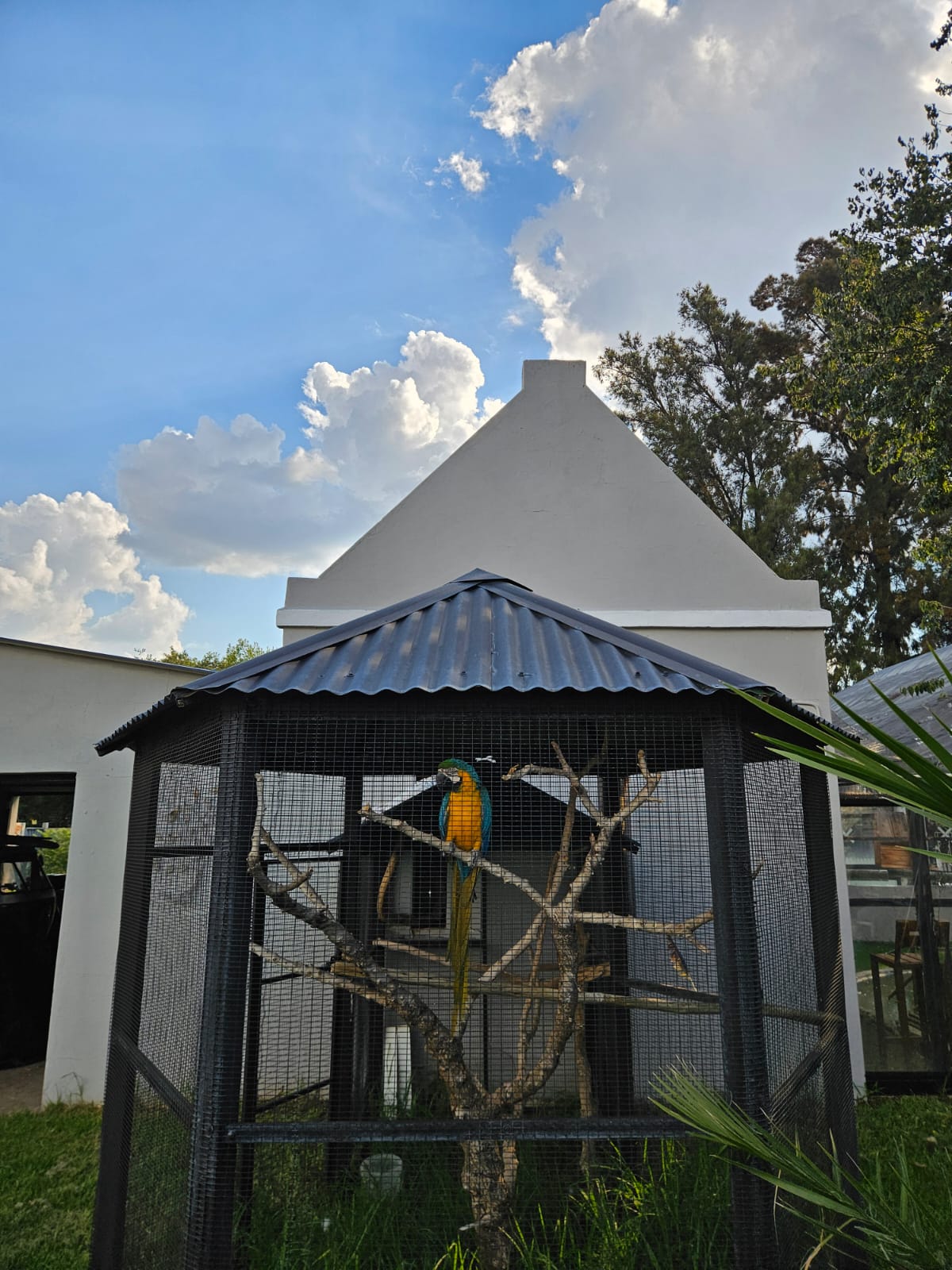 Nico Smith Afslaers Bloemfontein | NSA Auctioneers Bloemfontein