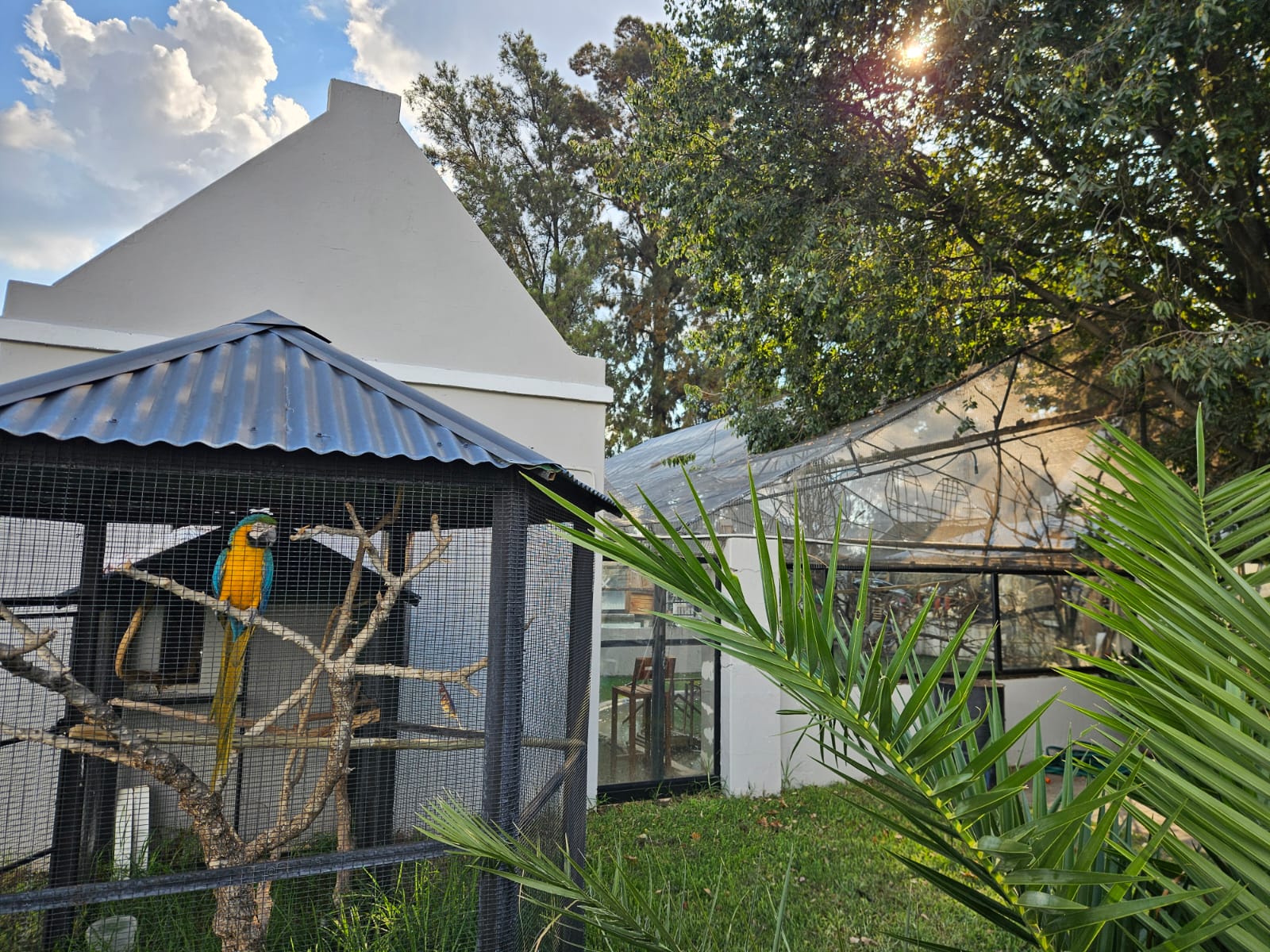 Nico Smith Afslaers Bloemfontein | NSA Auctioneers Bloemfontein