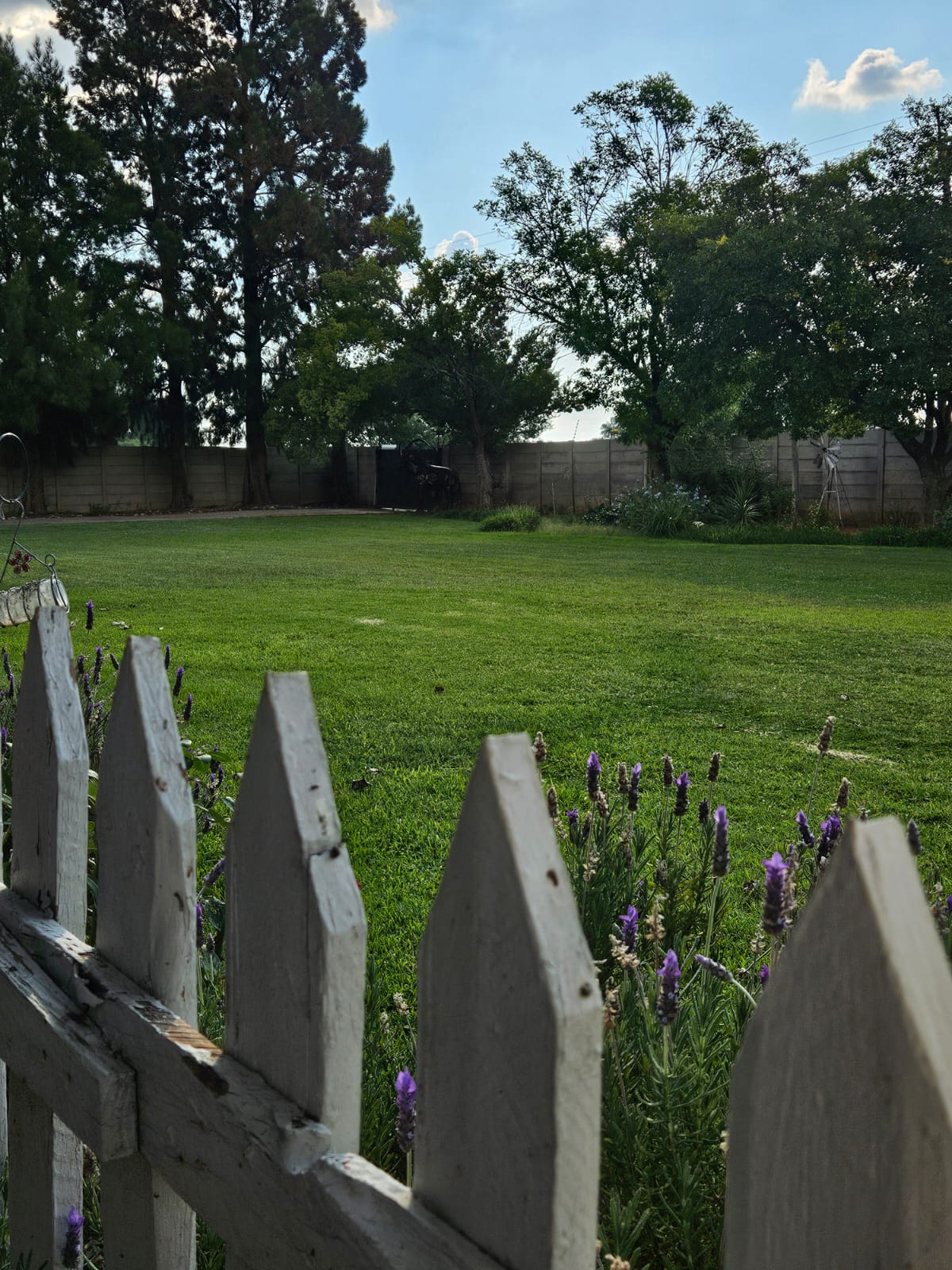 Nico Smith Afslaers Bloemfontein | NSA Auctioneers Bloemfontein