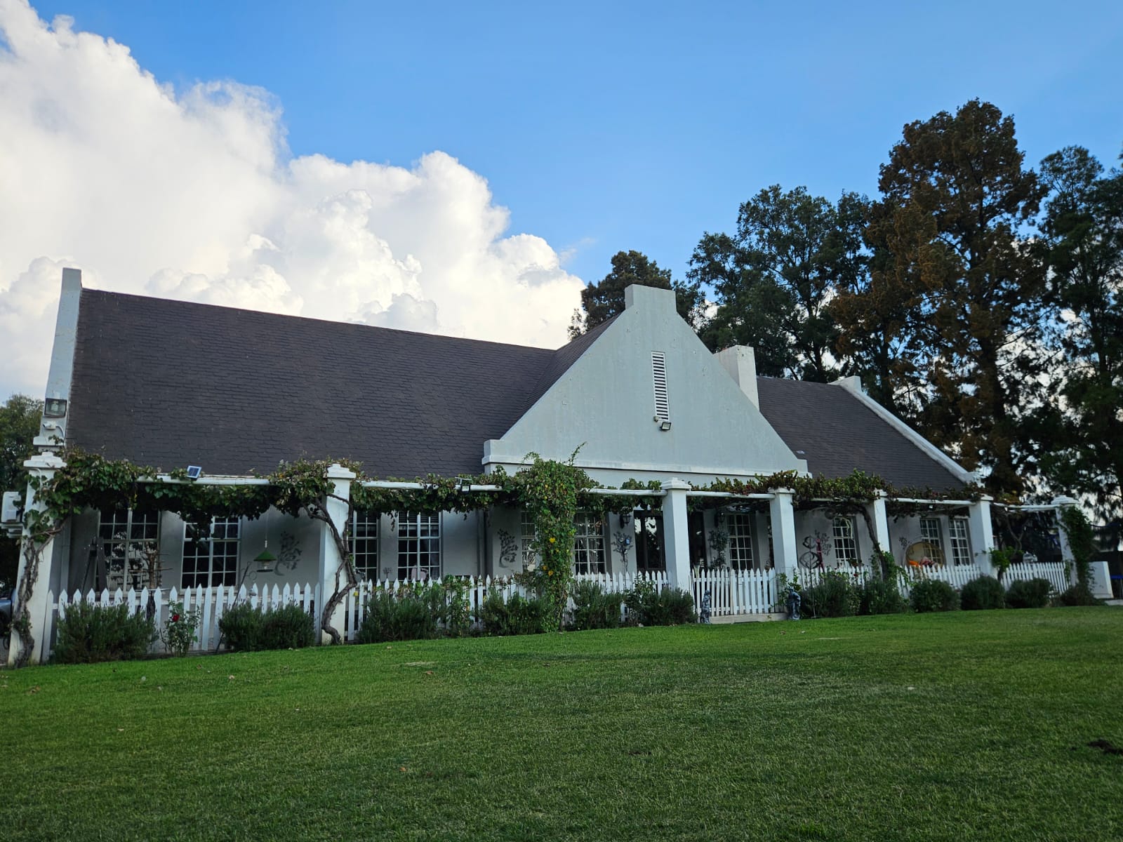 Nico Smith Afslaers Bloemfontein | NSA Auctioneers Bloemfontein