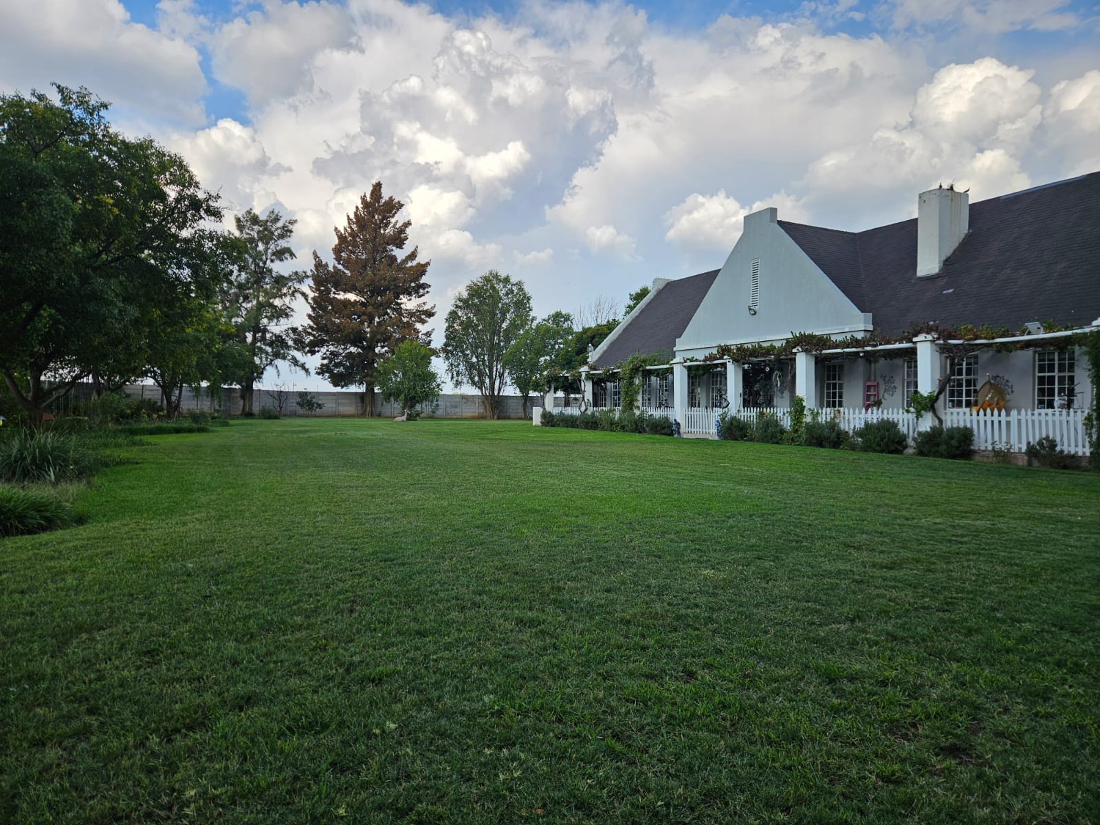 Nico Smith Afslaers Bloemfontein | NSA Auctioneers Bloemfontein