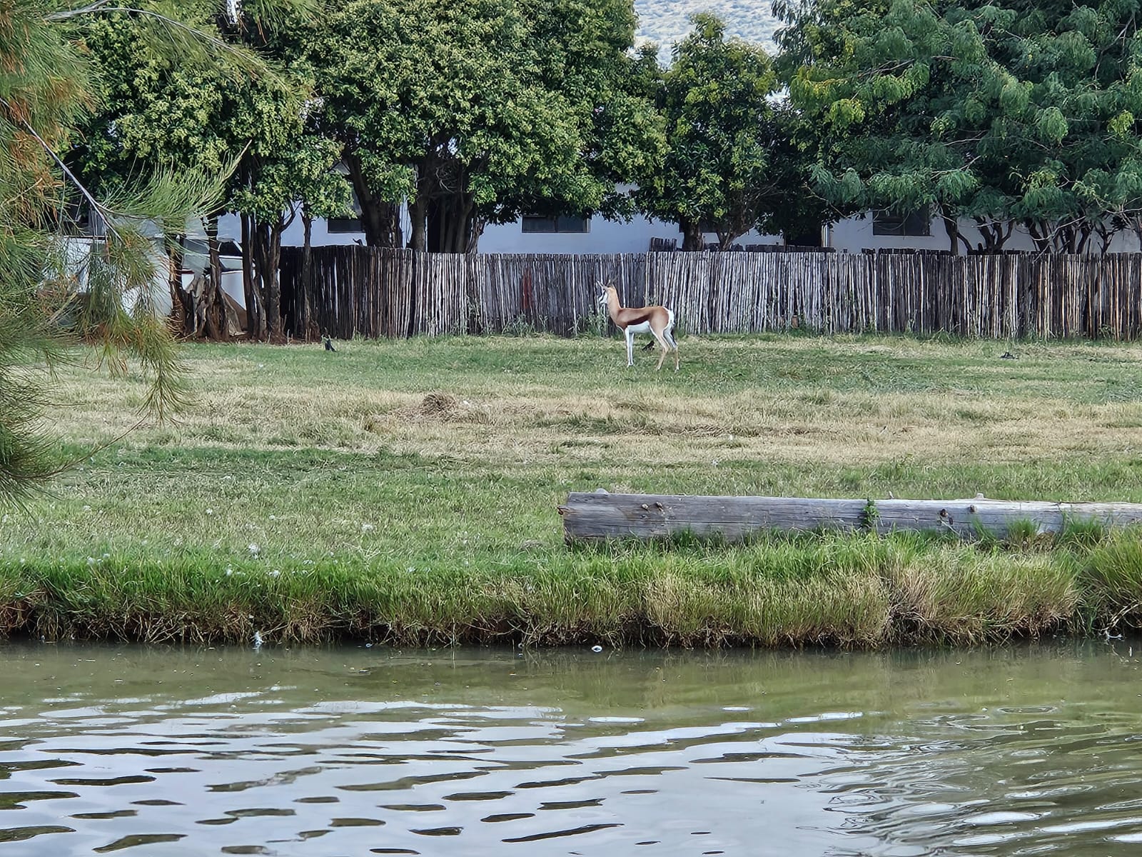 Nico Smith Afslaers Bloemfontein | NSA Auctioneers Bloemfontein