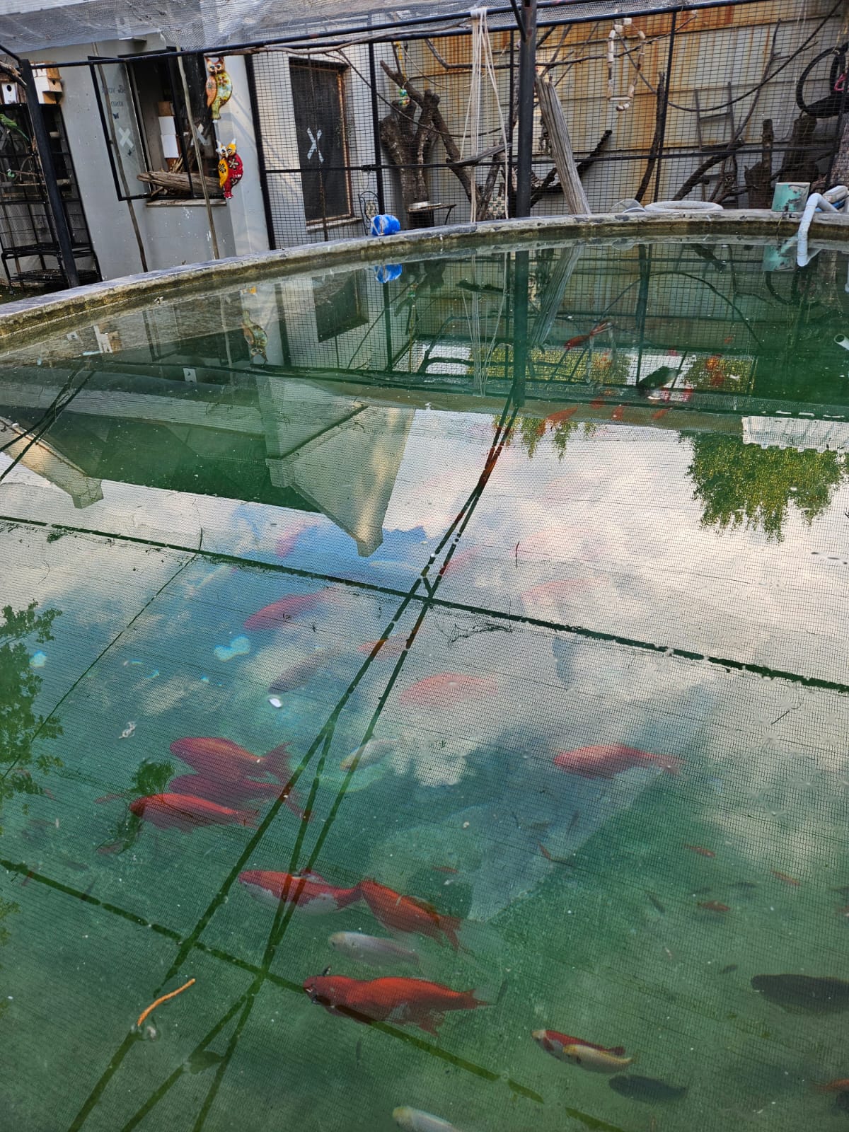 Nico Smith Afslaers Bloemfontein | NSA Auctioneers Bloemfontein