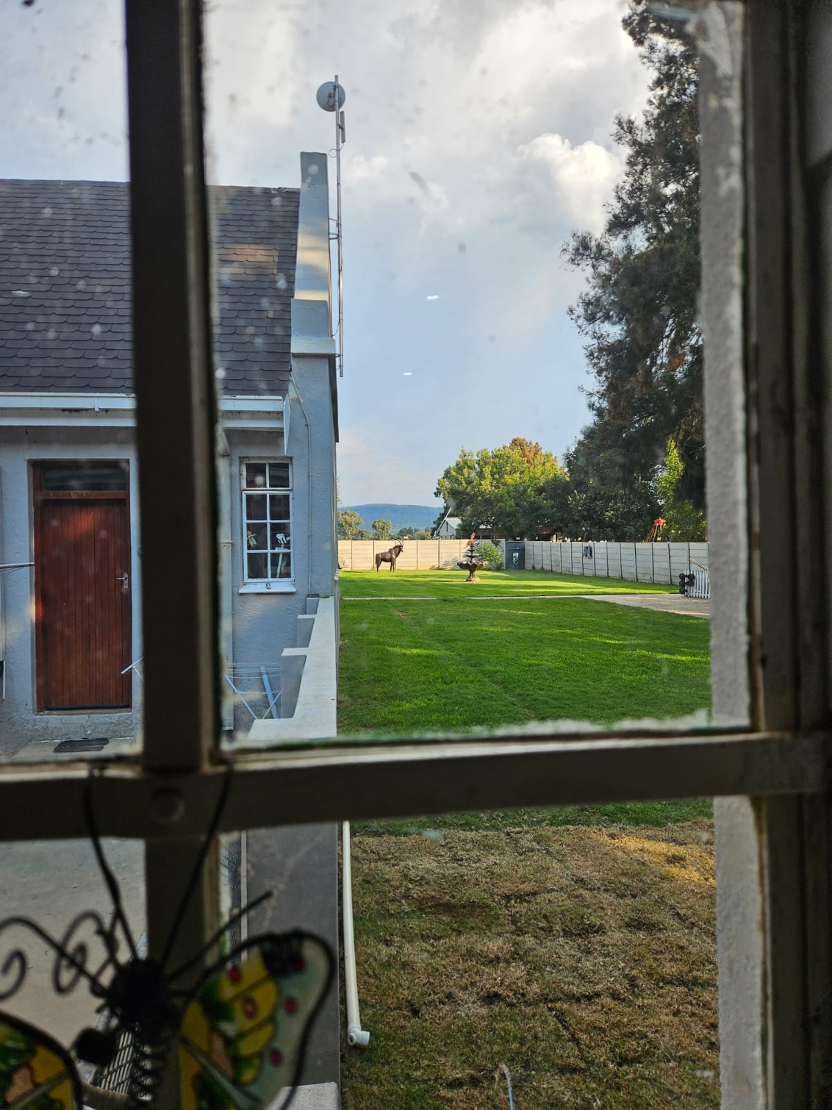 Nico Smith Afslaers Bloemfontein | NSA Auctioneers Bloemfontein