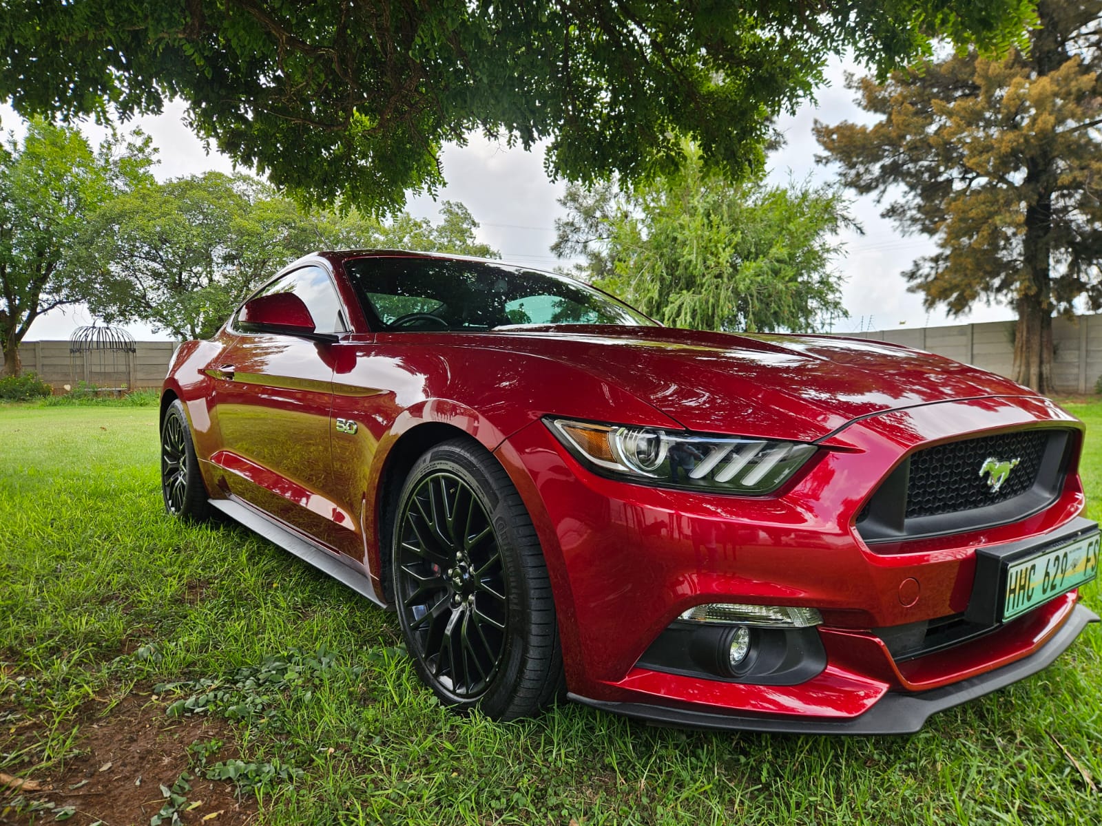 Nico Smith Afslaers Bloemfontein | NSA Auctioneers Bloemfontein