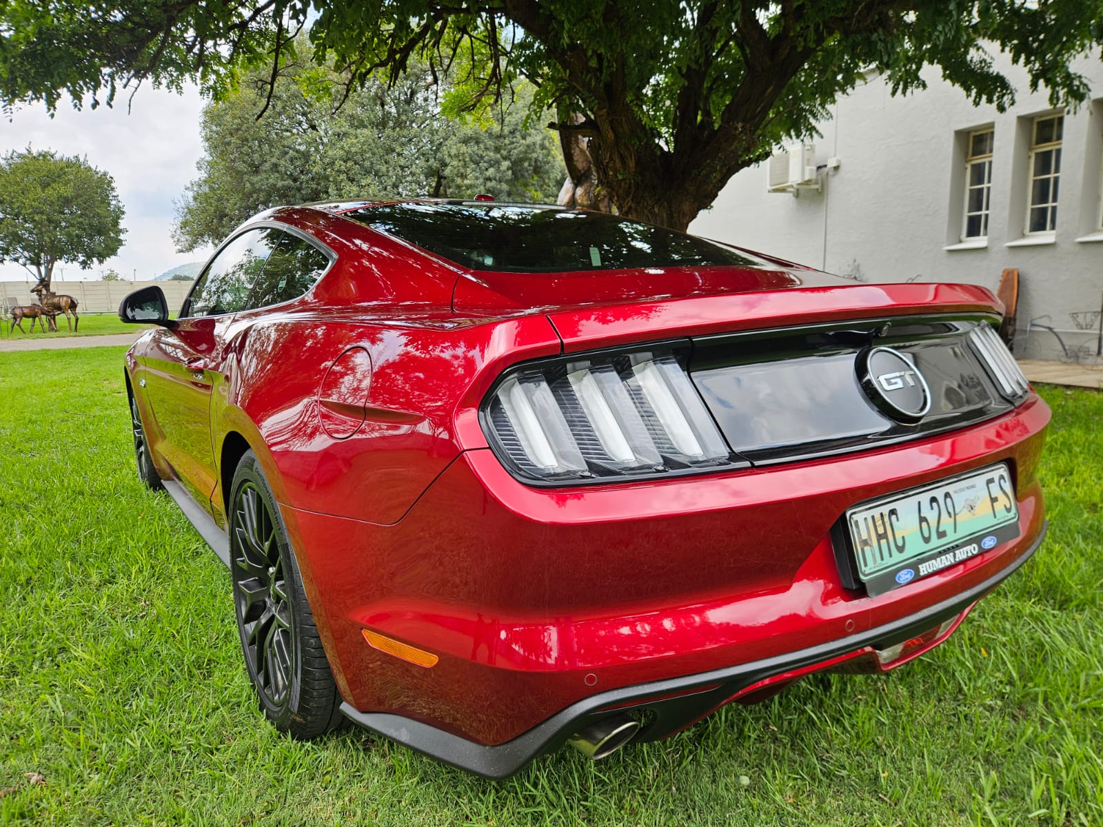 Nico Smith Afslaers Bloemfontein | NSA Auctioneers Bloemfontein