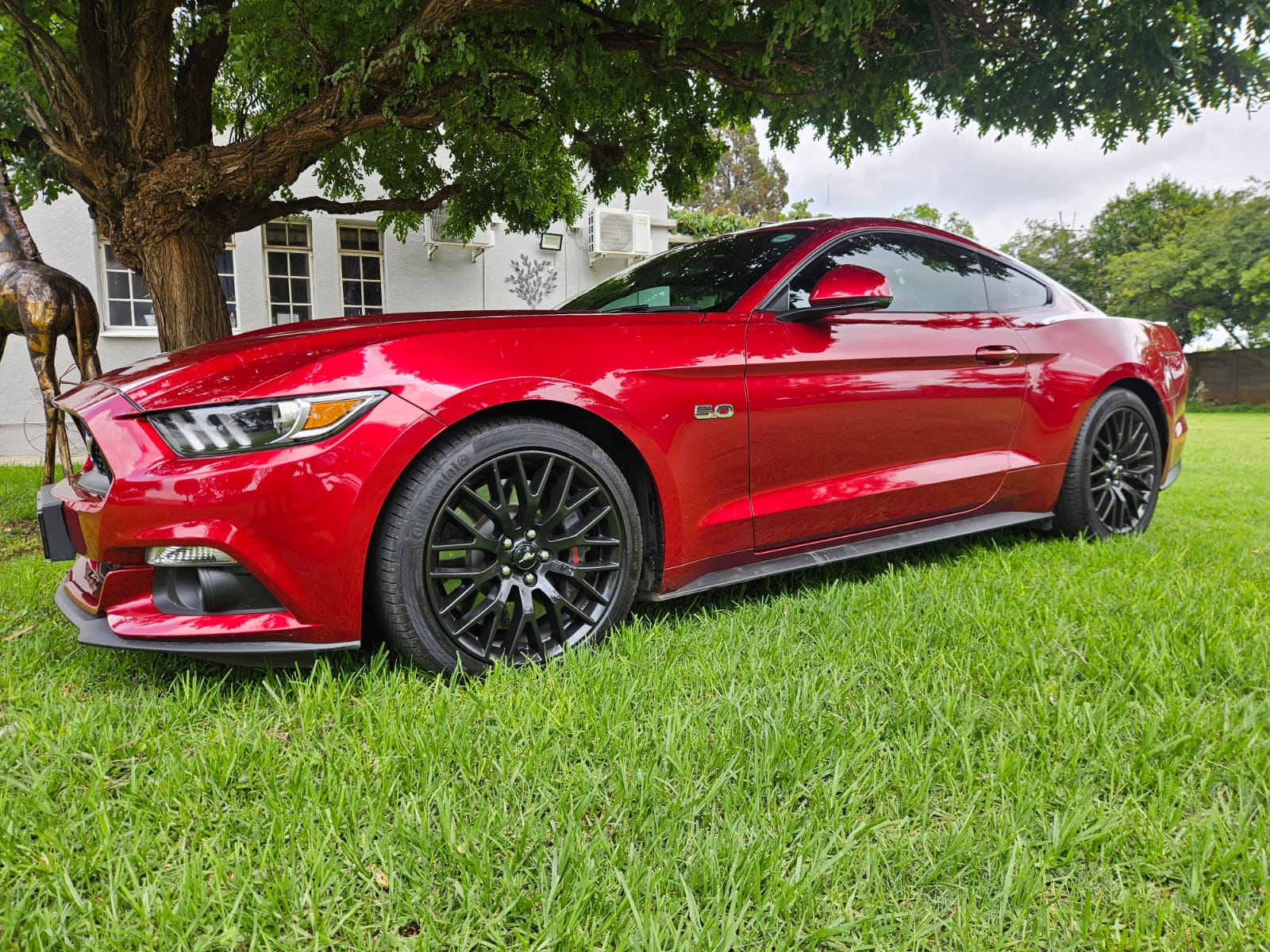 Nico Smith Afslaers Bloemfontein | NSA Auctioneers Bloemfontein