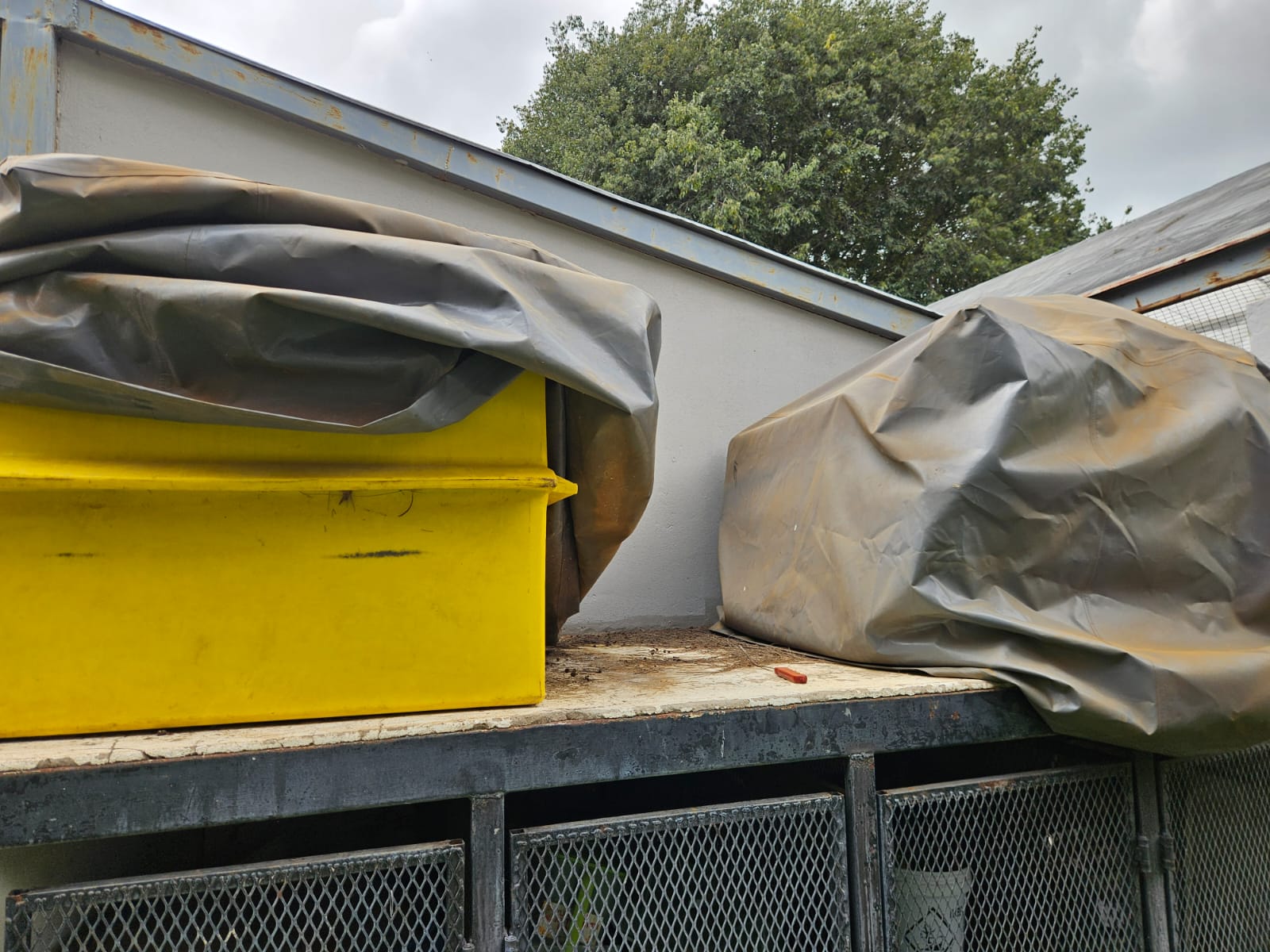 Nico Smith Afslaers Bloemfontein | NSA Auctioneers Bloemfontein