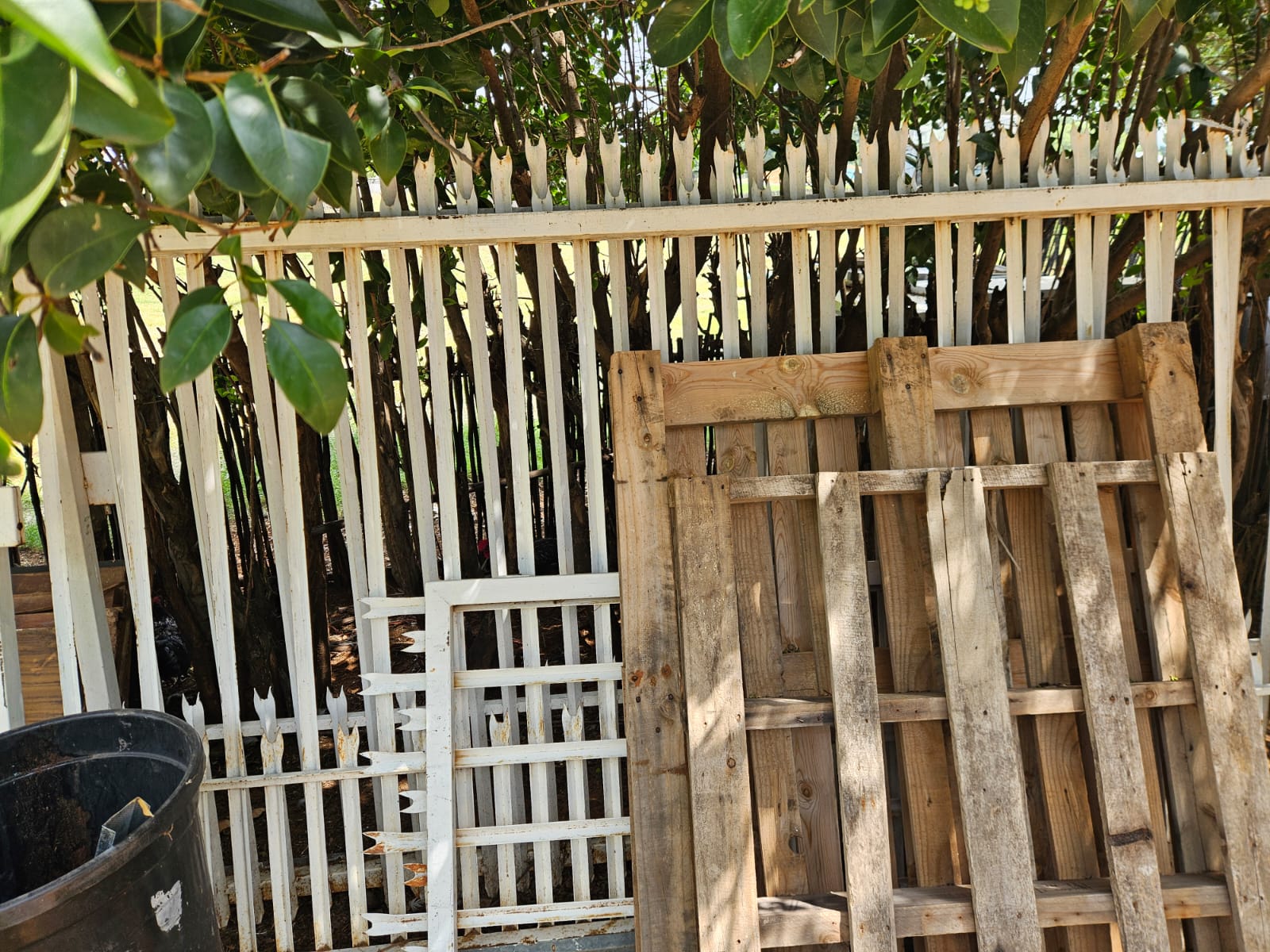 Nico Smith Afslaers Bloemfontein | NSA Auctioneers Bloemfontein