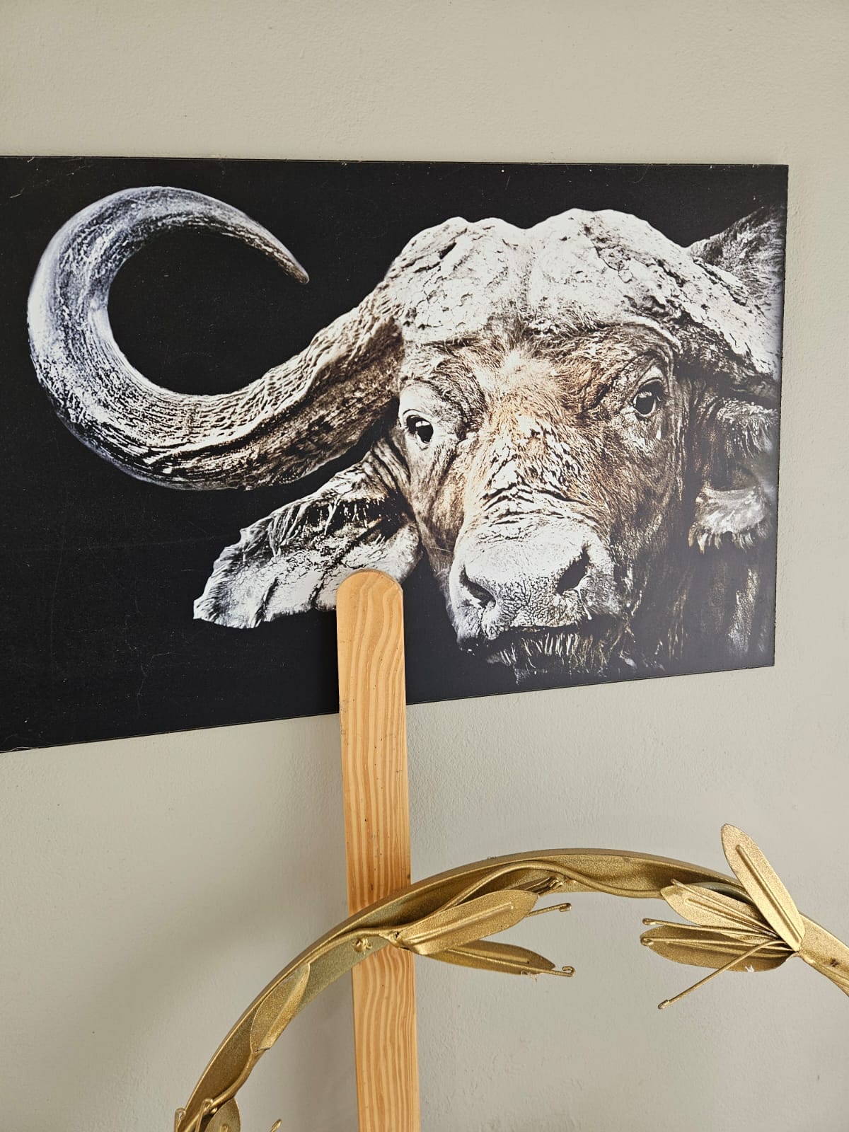 Nico Smith Afslaers Bloemfontein | NSA Auctioneers Bloemfontein