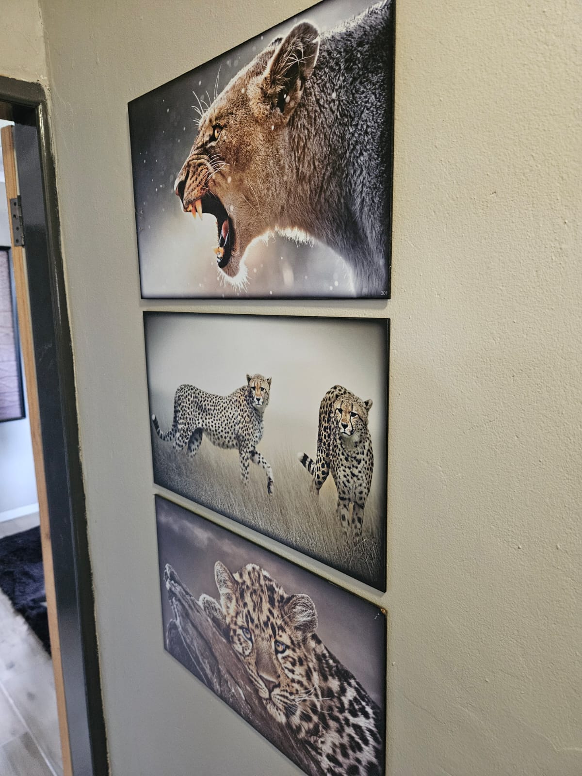 Nico Smith Afslaers Bloemfontein | NSA Auctioneers Bloemfontein