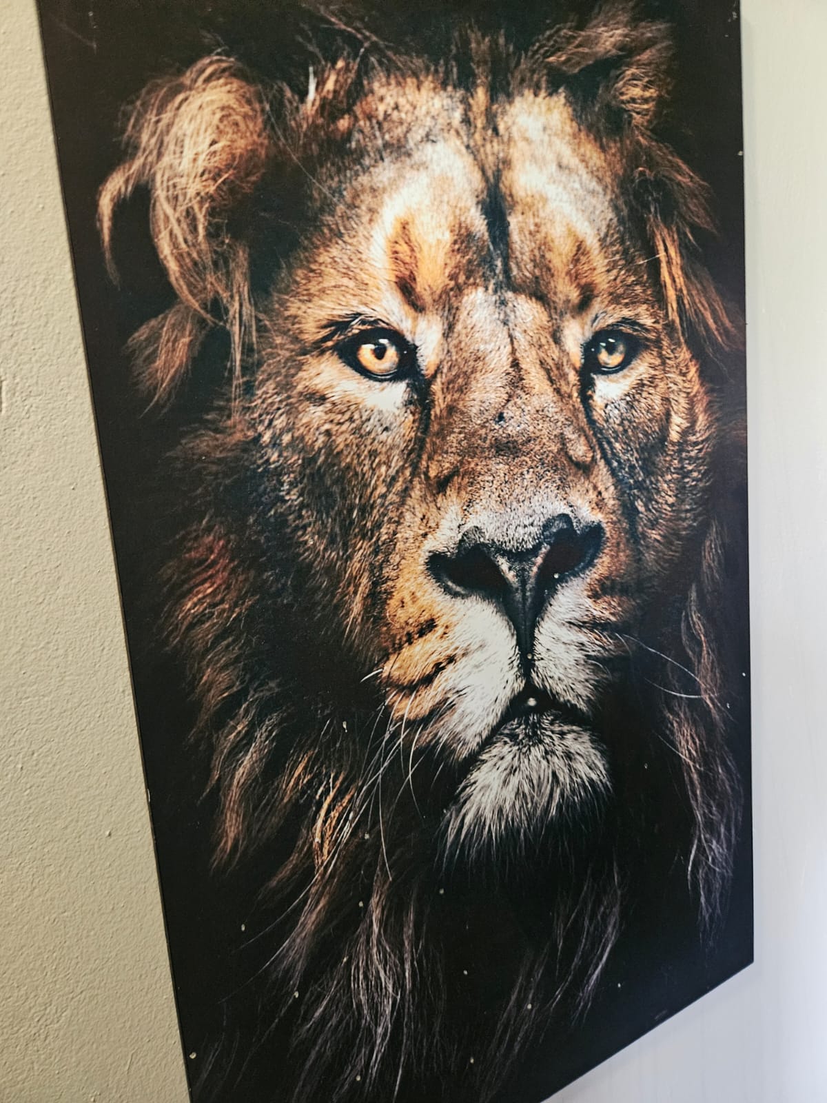 Nico Smith Afslaers Bloemfontein | NSA Auctioneers Bloemfontein