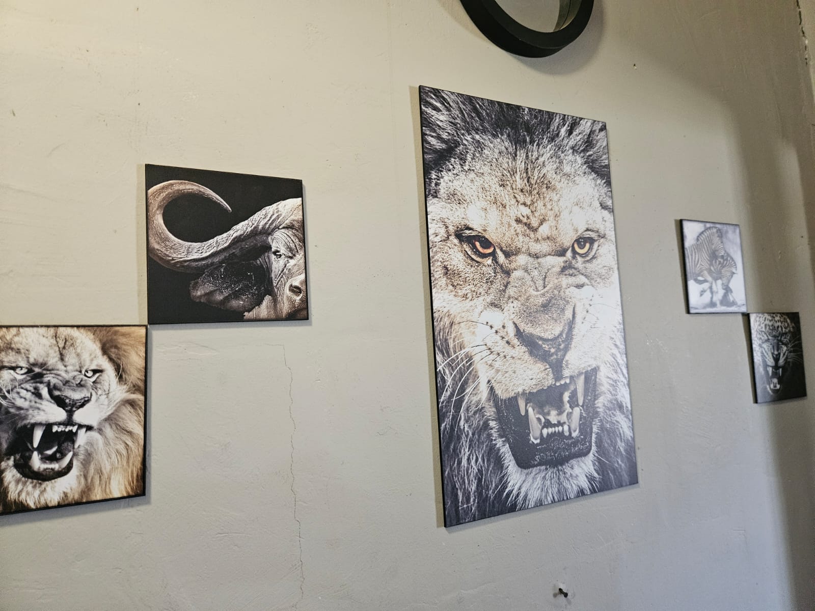 Nico Smith Afslaers Bloemfontein | NSA Auctioneers Bloemfontein