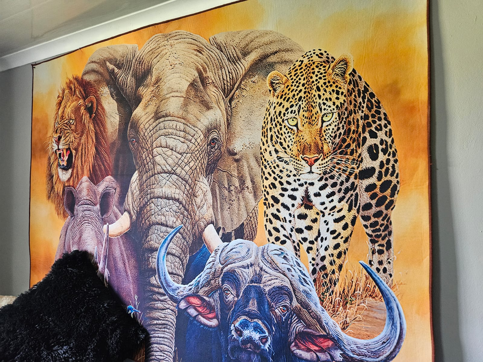 Nico Smith Afslaers Bloemfontein | NSA Auctioneers Bloemfontein