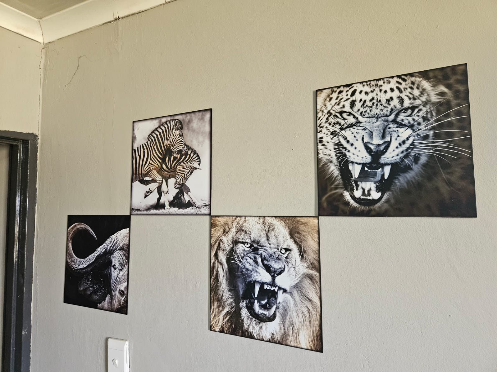 Nico Smith Afslaers Bloemfontein | NSA Auctioneers Bloemfontein