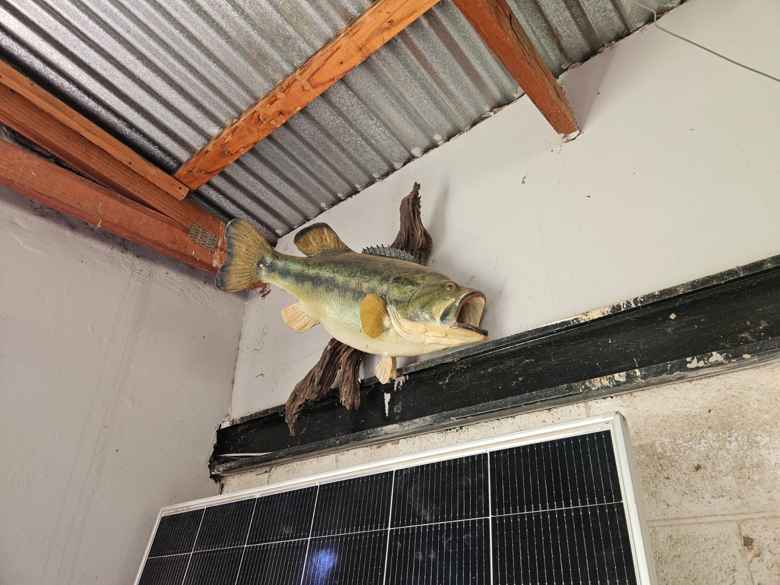 Nico Smith Afslaers Bloemfontein | NSA Auctioneers Bloemfontein