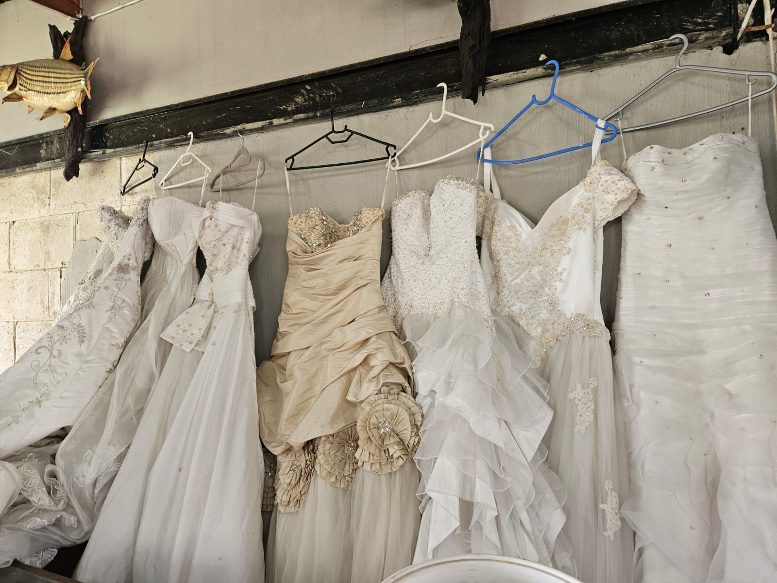 Nico Smith Afslaers Bloemfontein | NSA Auctioneers Bloemfontein