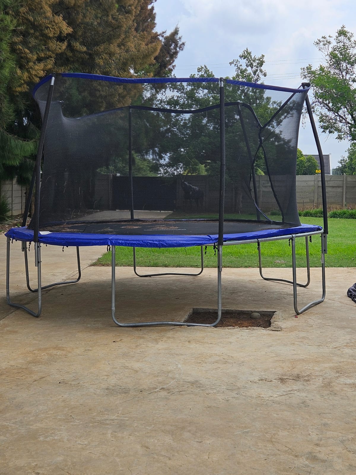 Nico Smith Afslaers Bloemfontein | NSA Auctioneers Bloemfontein