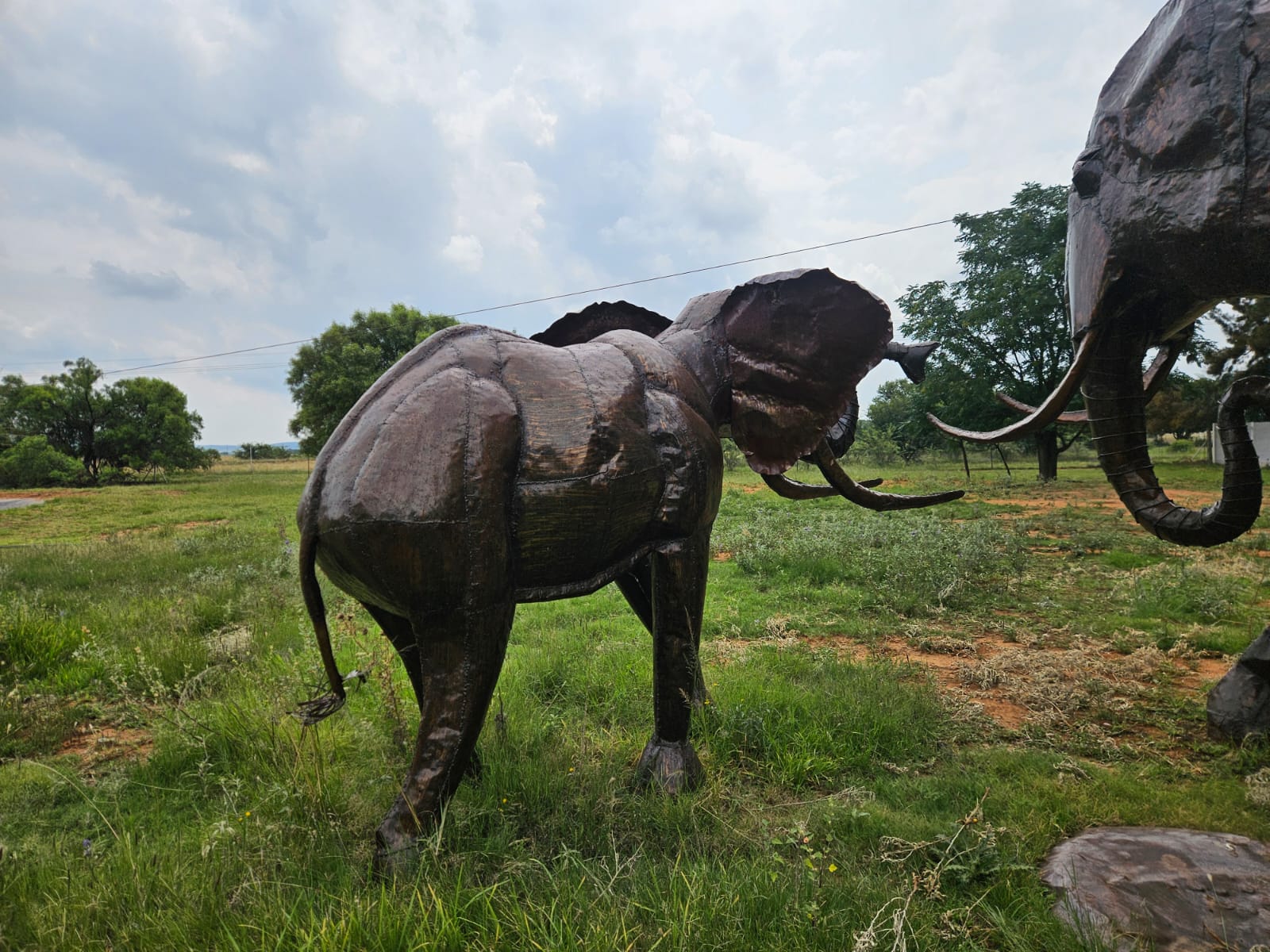 Nico Smith Afslaers Bloemfontein | NSA Auctioneers Bloemfontein