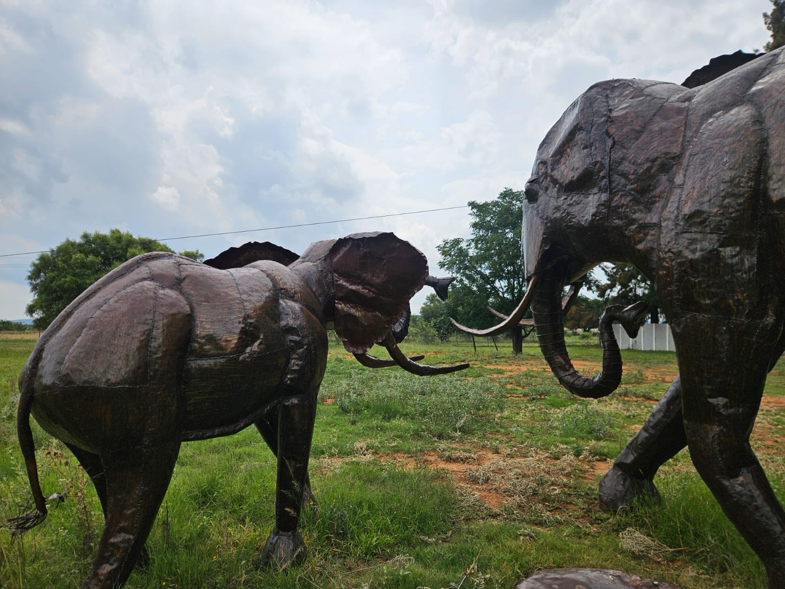 Nico Smith Afslaers Bloemfontein | NSA Auctioneers Bloemfontein