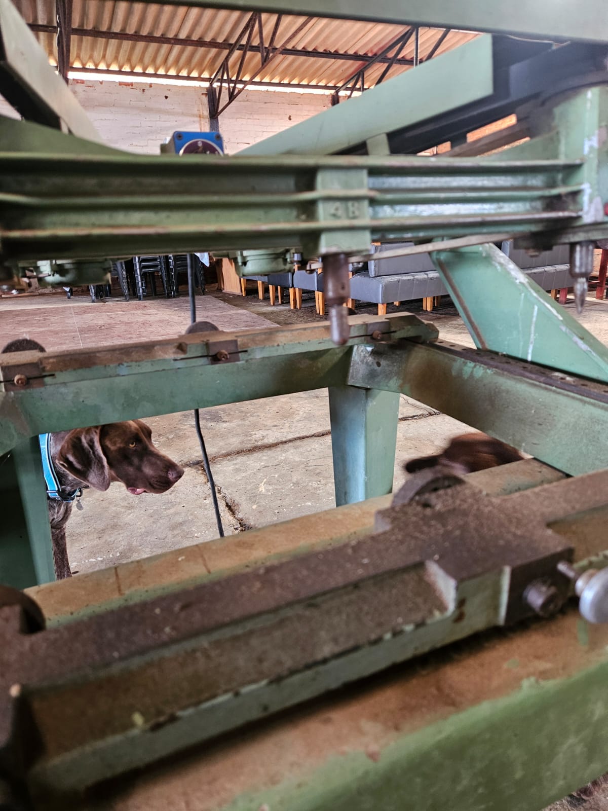 Nico Smith Afslaers Bloemfontein | NSA Auctioneers Bloemfontein