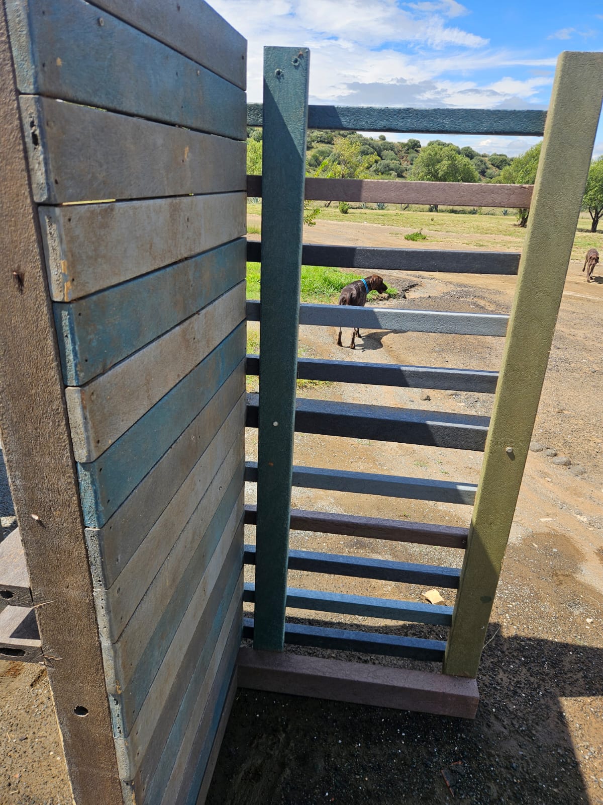 Nico Smith Afslaers Bloemfontein | NSA Auctioneers Bloemfontein