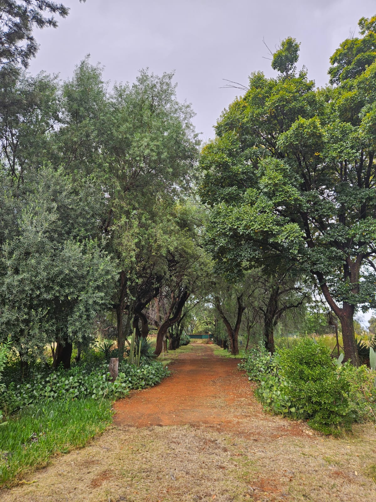 Nico Smith Afslaers Bloemfontein | NSA Auctioneers Bloemfontein