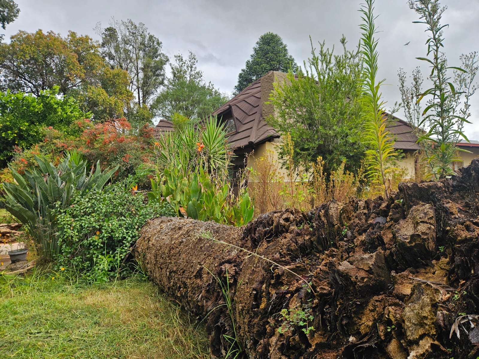 Nico Smith Afslaers Bloemfontein | NSA Auctioneers Bloemfontein