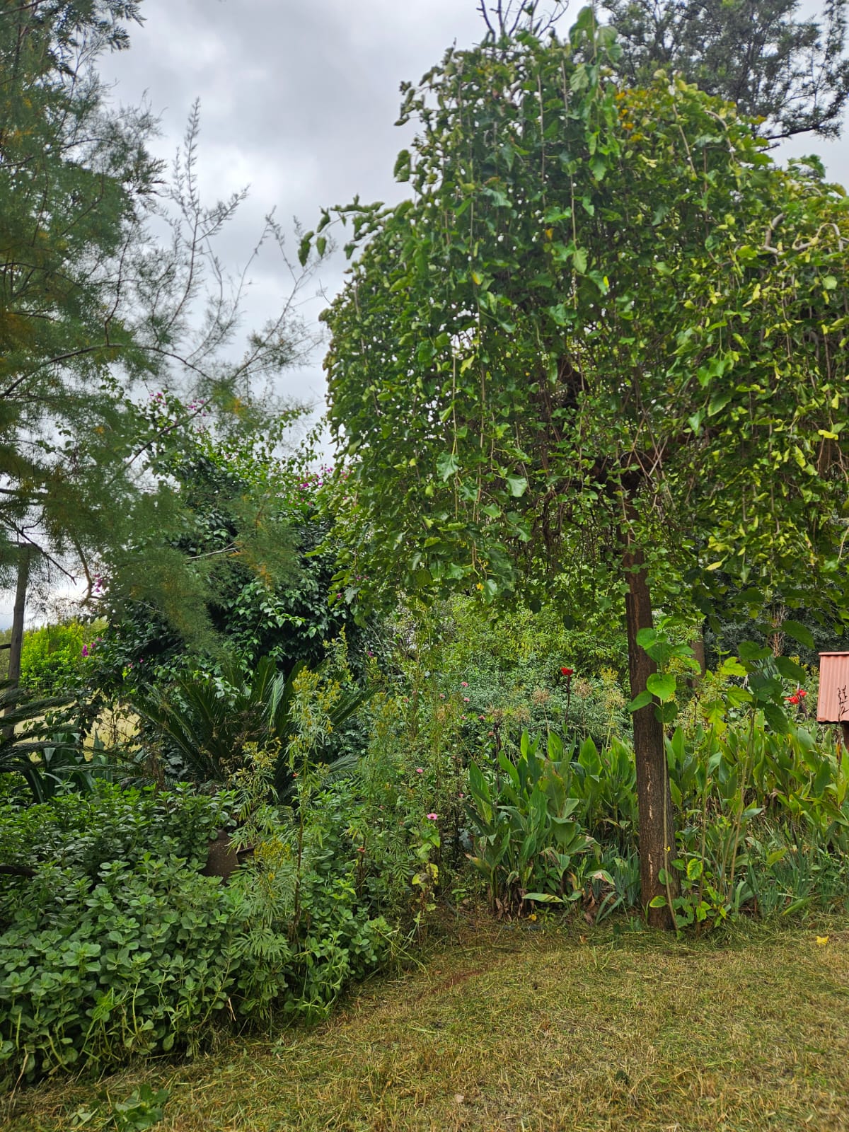 Nico Smith Afslaers Bloemfontein | NSA Auctioneers Bloemfontein