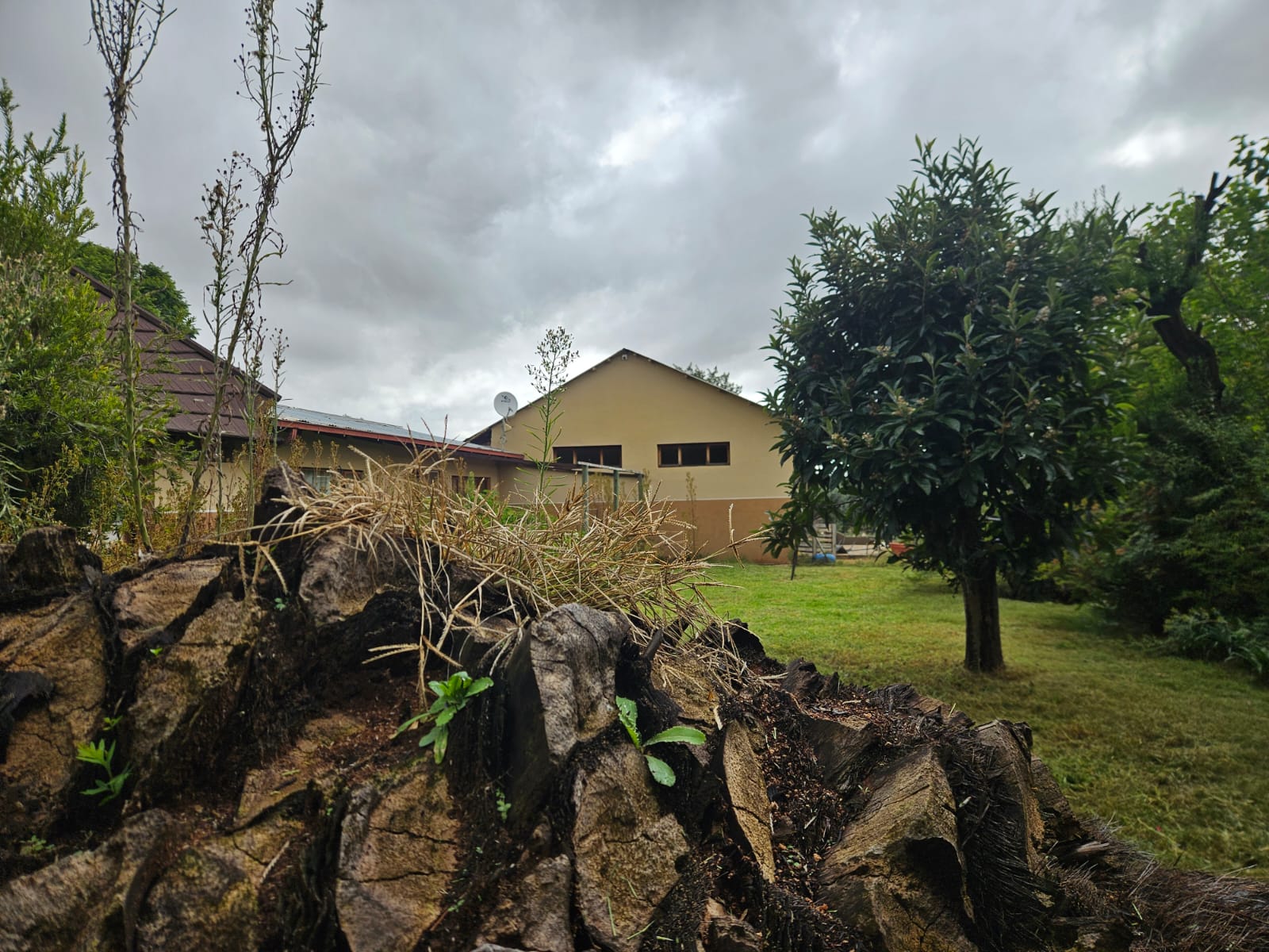 Nico Smith Afslaers Bloemfontein | NSA Auctioneers Bloemfontein