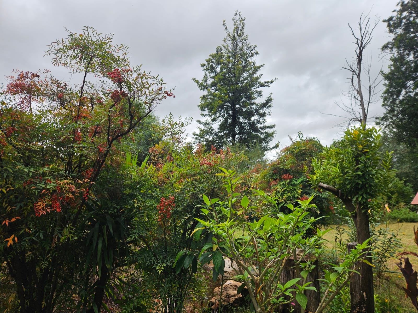 Nico Smith Afslaers Bloemfontein | NSA Auctioneers Bloemfontein