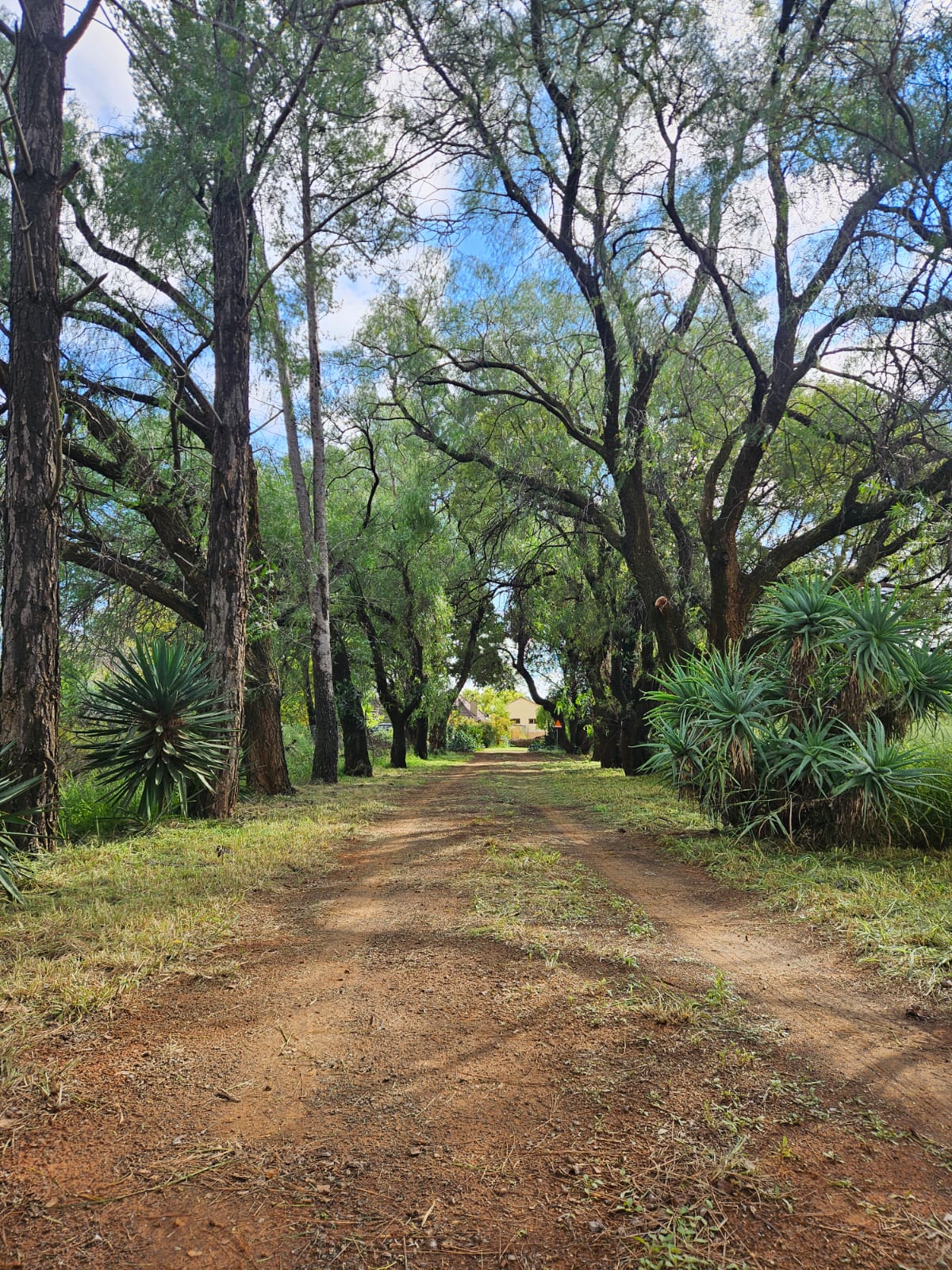 Nico Smith Afslaers Bloemfontein | NSA Auctioneers Bloemfontein