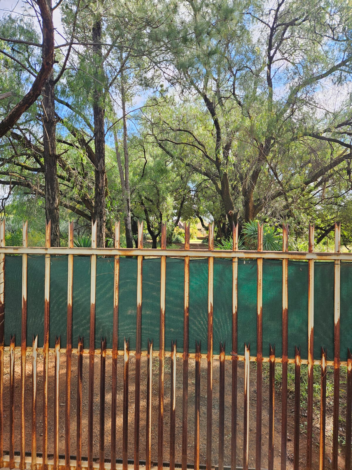 Nico Smith Afslaers Bloemfontein | NSA Auctioneers Bloemfontein