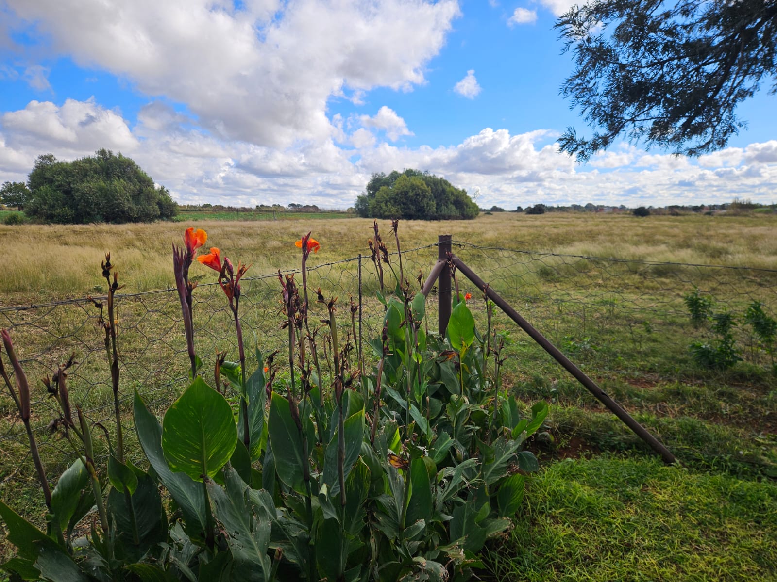 Nico Smith Afslaers Bloemfontein | NSA Auctioneers Bloemfontein