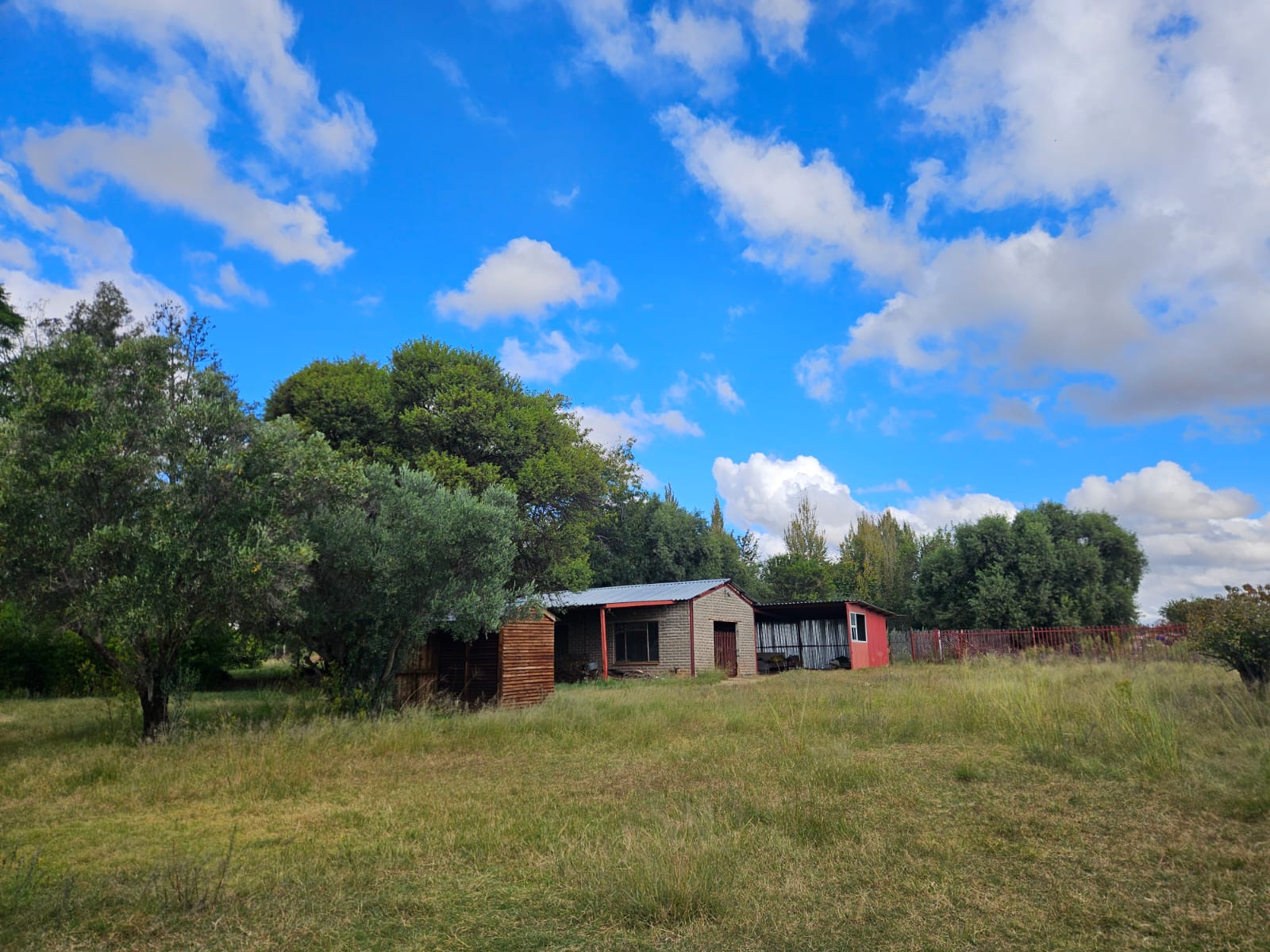 Nico Smith Afslaers Bloemfontein | NSA Auctioneers Bloemfontein