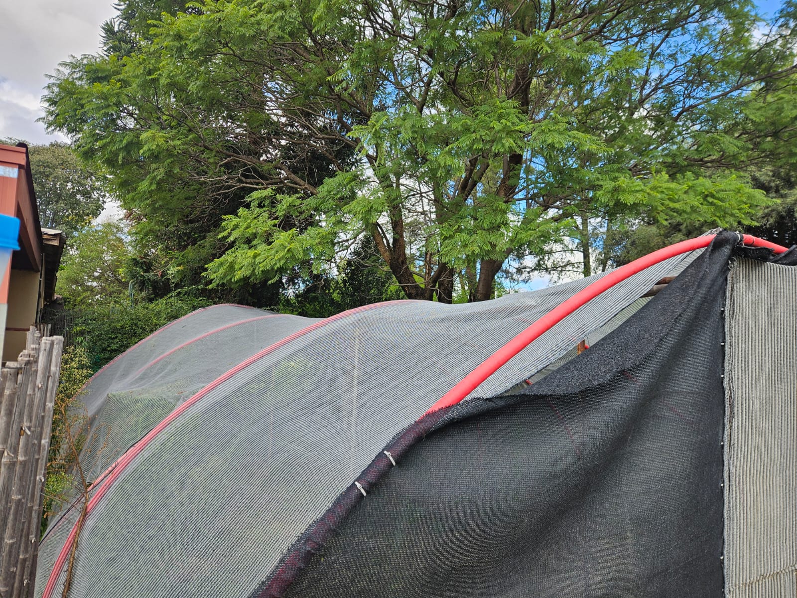 Nico Smith Afslaers Bloemfontein | NSA Auctioneers Bloemfontein