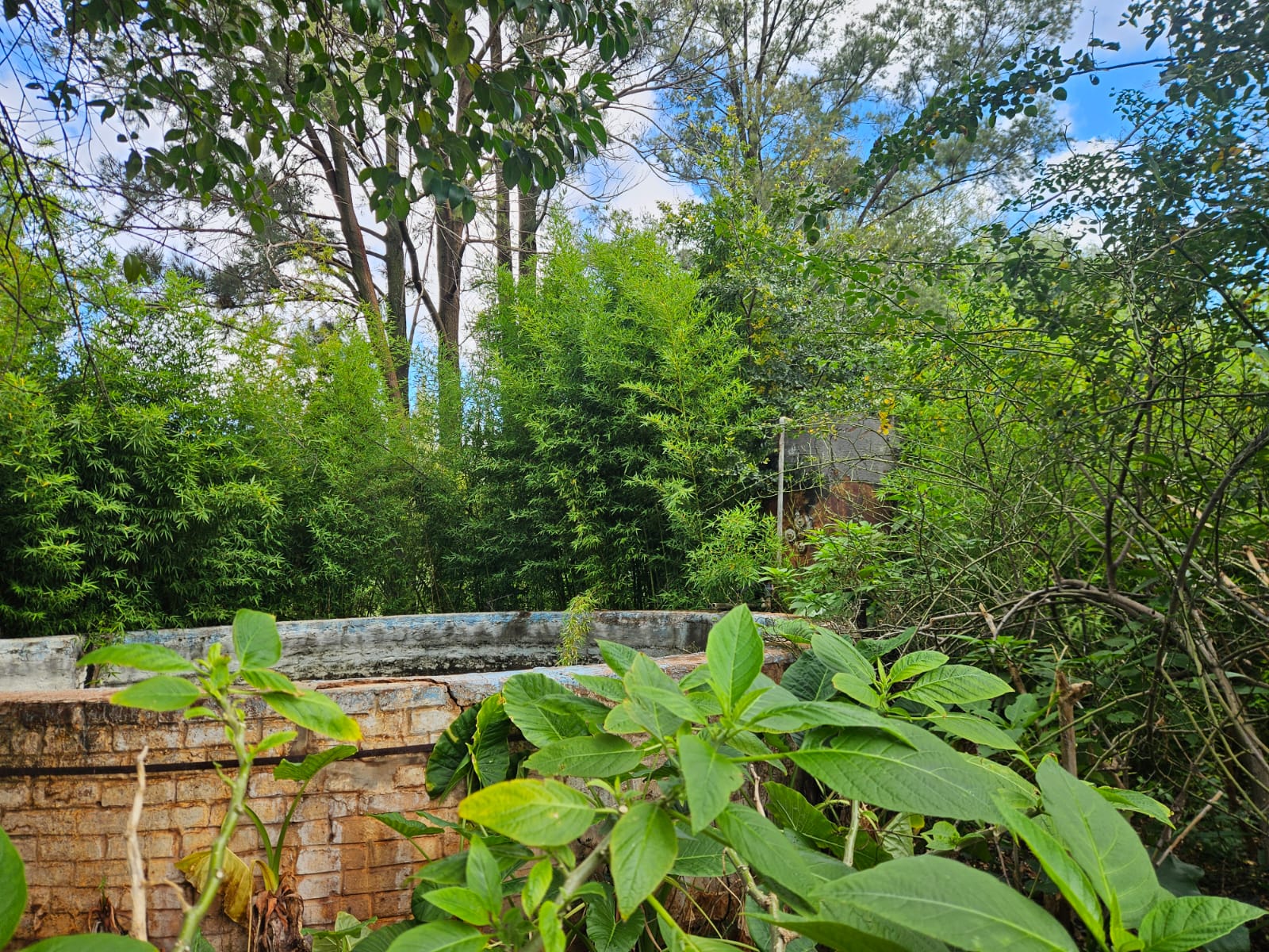 Nico Smith Afslaers Bloemfontein | NSA Auctioneers Bloemfontein