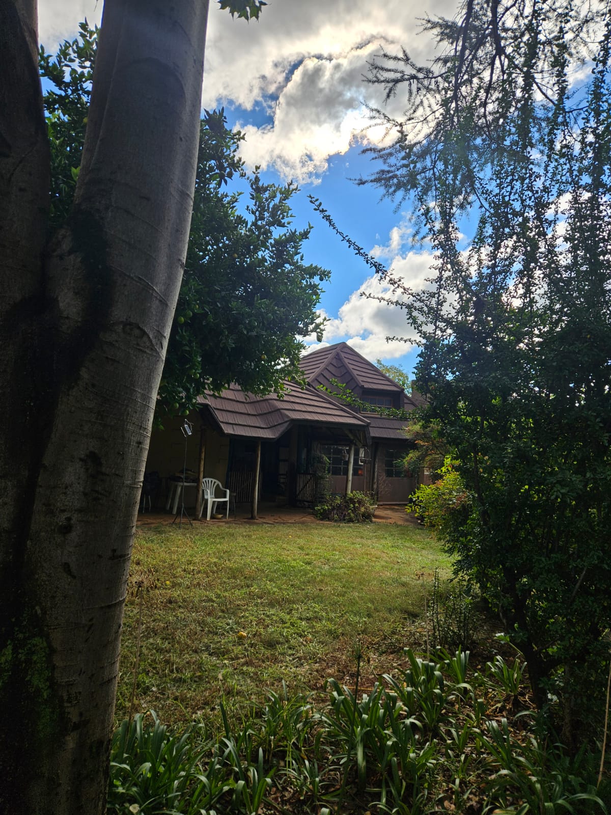 Nico Smith Afslaers Bloemfontein | NSA Auctioneers Bloemfontein