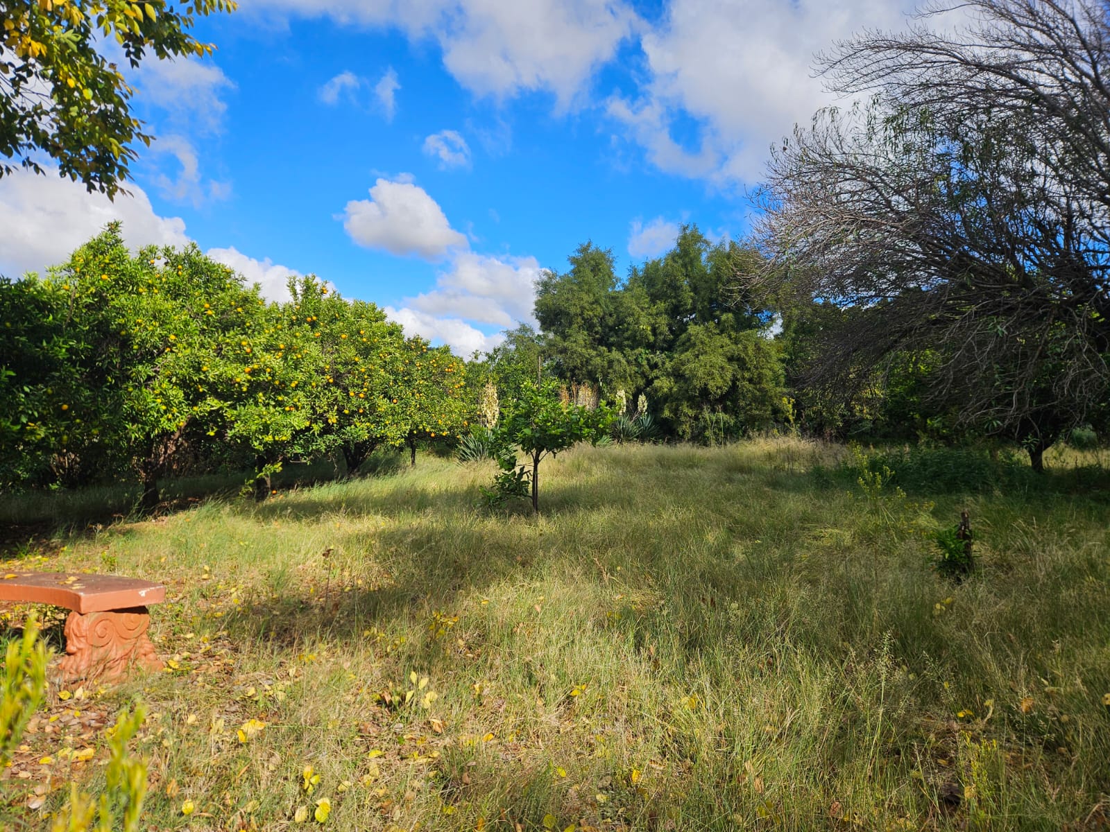 Nico Smith Afslaers Bloemfontein | NSA Auctioneers Bloemfontein