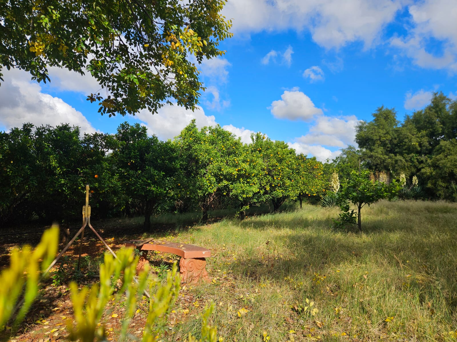 Nico Smith Afslaers Bloemfontein | NSA Auctioneers Bloemfontein