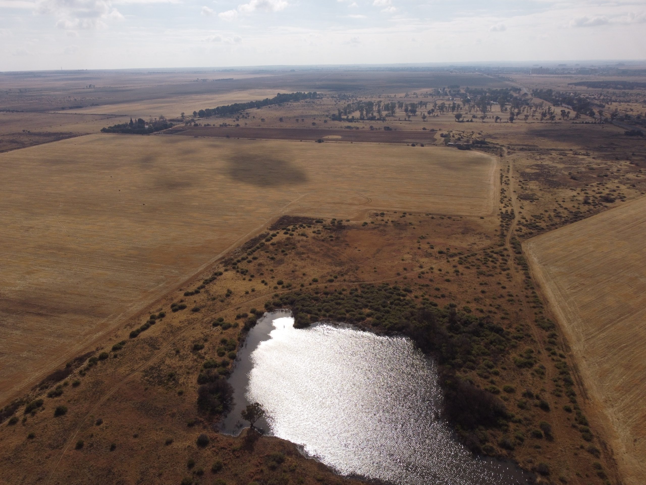Nico Smith Afslaers Bloemfontein | NSA Auctioneers Bloemfontein