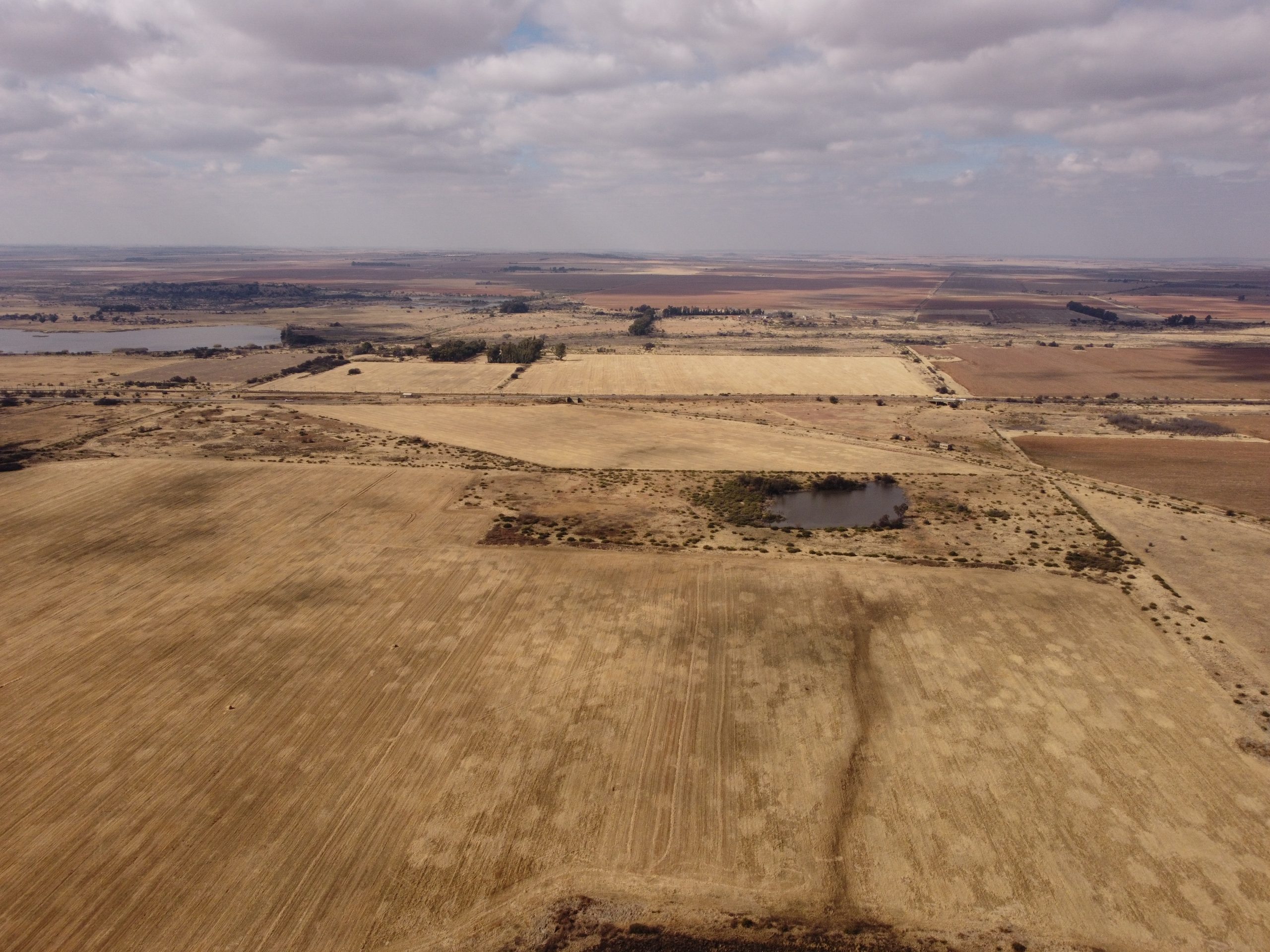 Nico Smith Afslaers Bloemfontein | NSA Auctioneers Bloemfontein