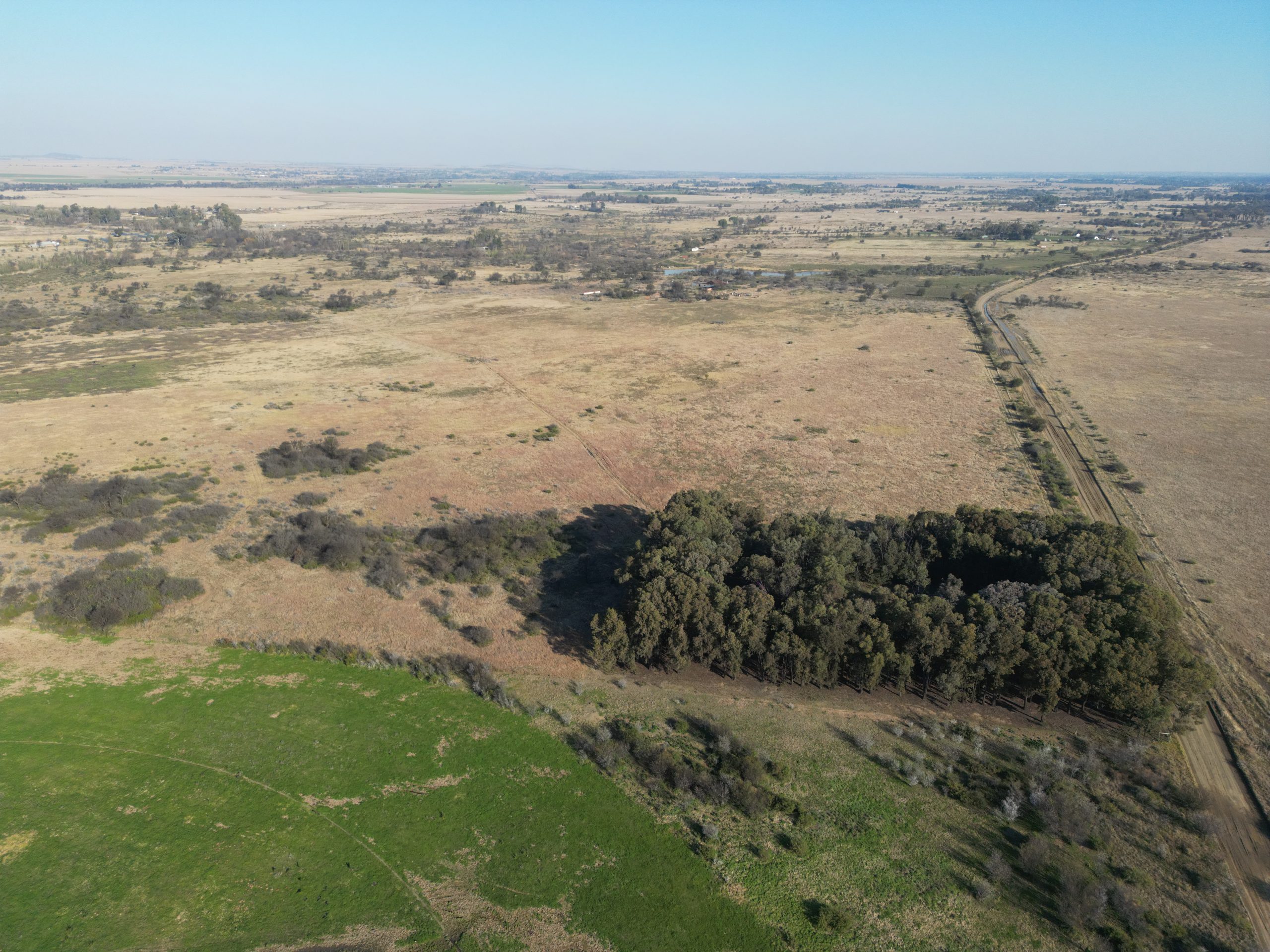 Nico Smith Afslaers Bloemfontein | NSA Auctioneers Bloemfontein