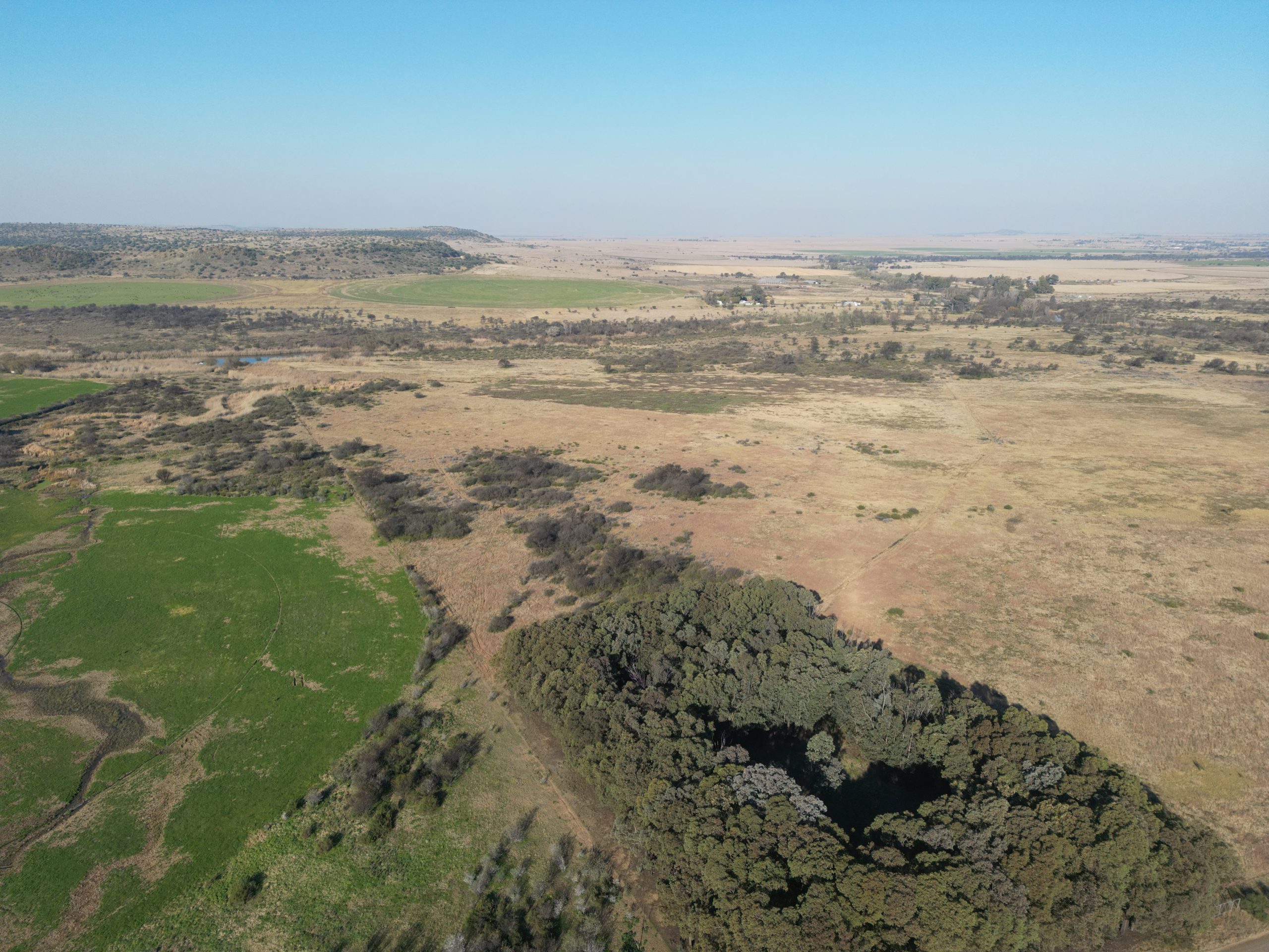 Nico Smith Afslaers Bloemfontein | NSA Auctioneers Bloemfontein