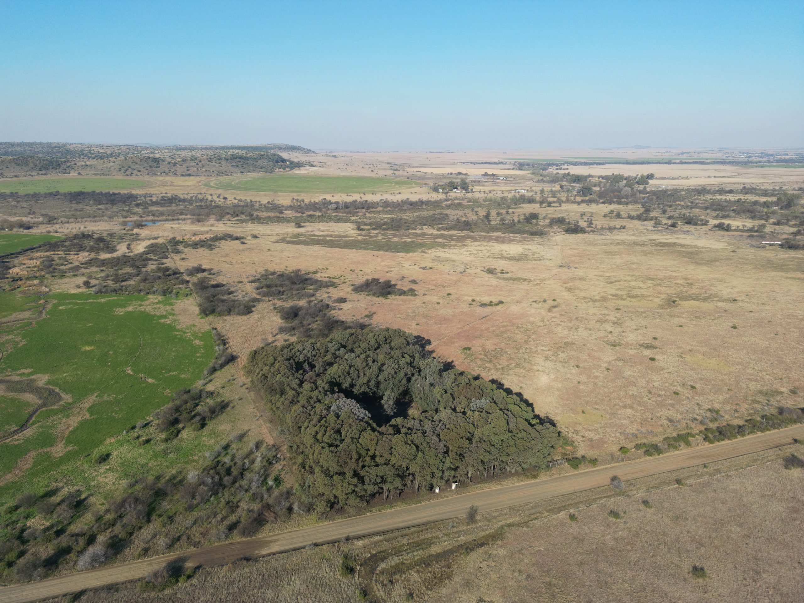 Nico Smith Afslaers Bloemfontein | NSA Auctioneers Bloemfontein