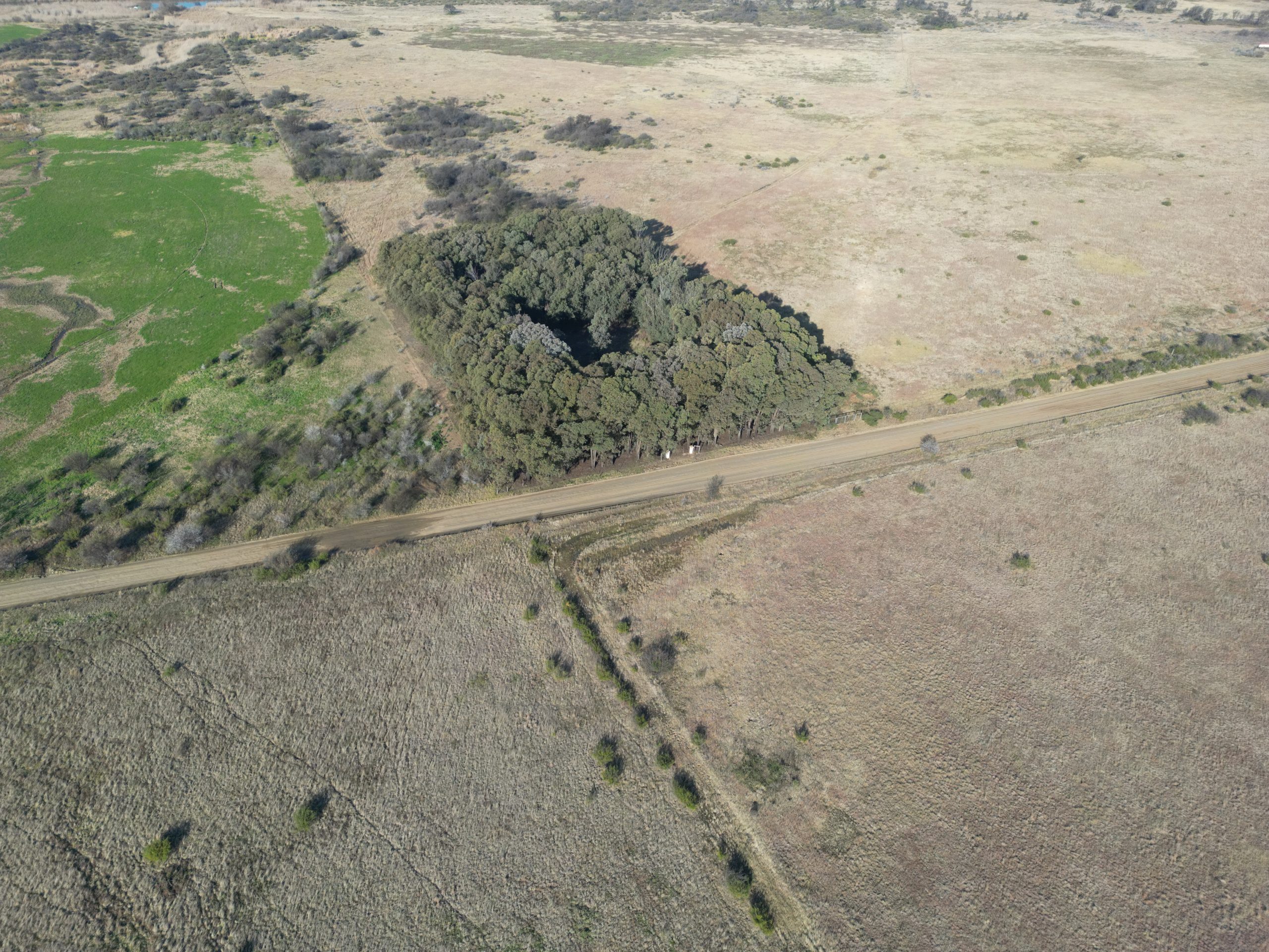 Nico Smith Afslaers Bloemfontein | NSA Auctioneers Bloemfontein