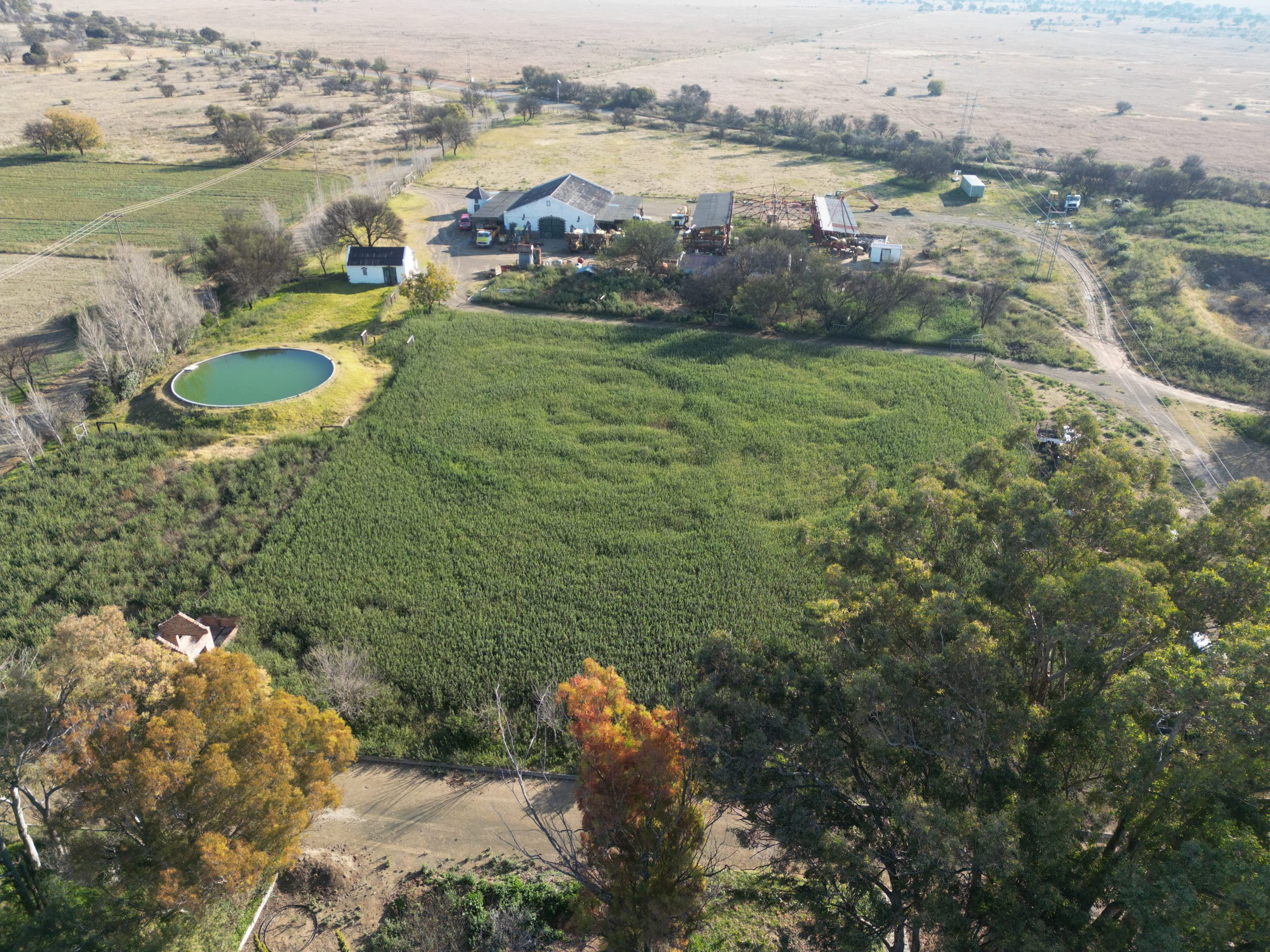 Nico Smith Afslaers Bloemfontein | NSA Auctioneers Bloemfontein